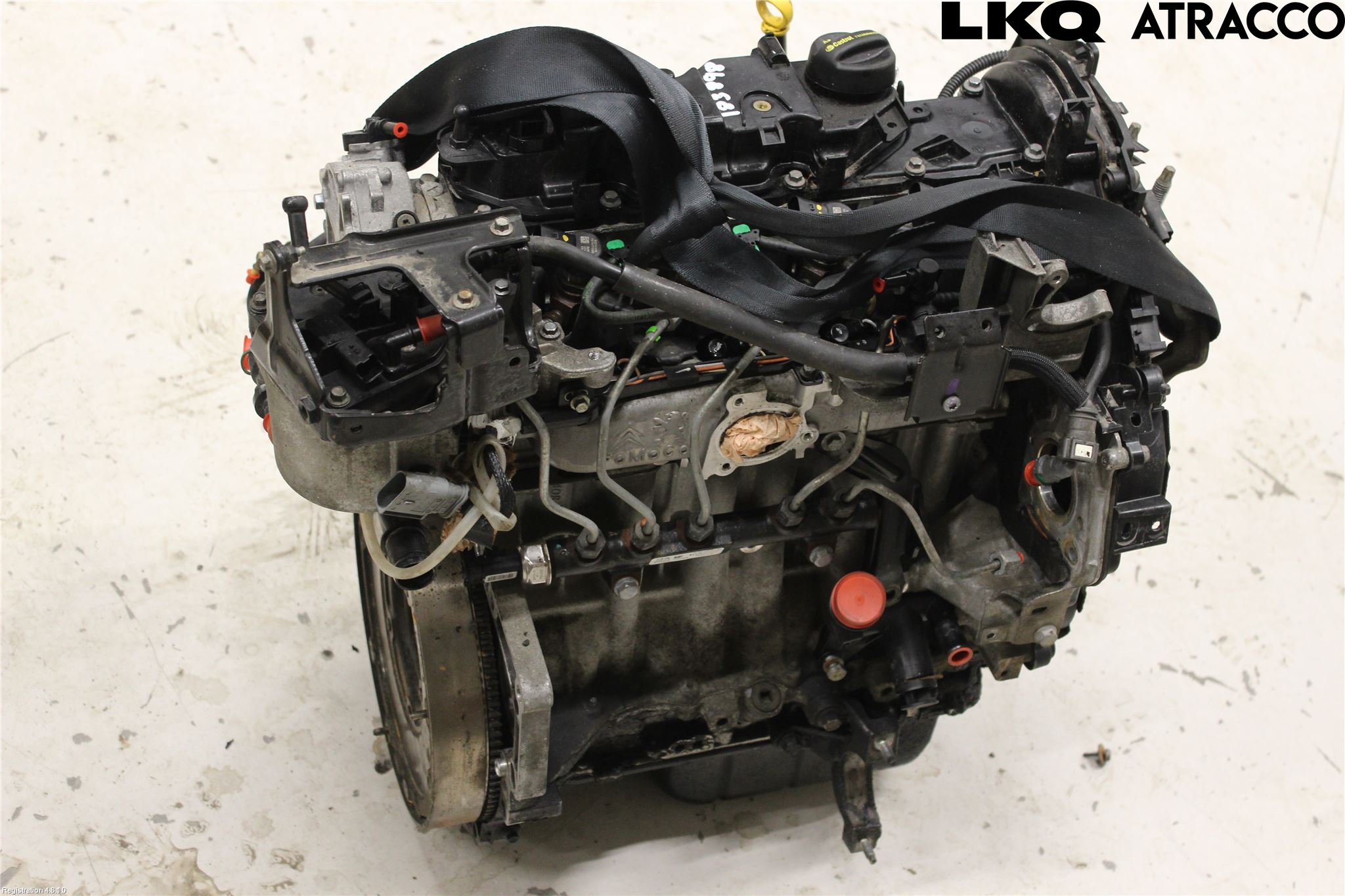 Ford FOCUS 11-14 Motor Diesel