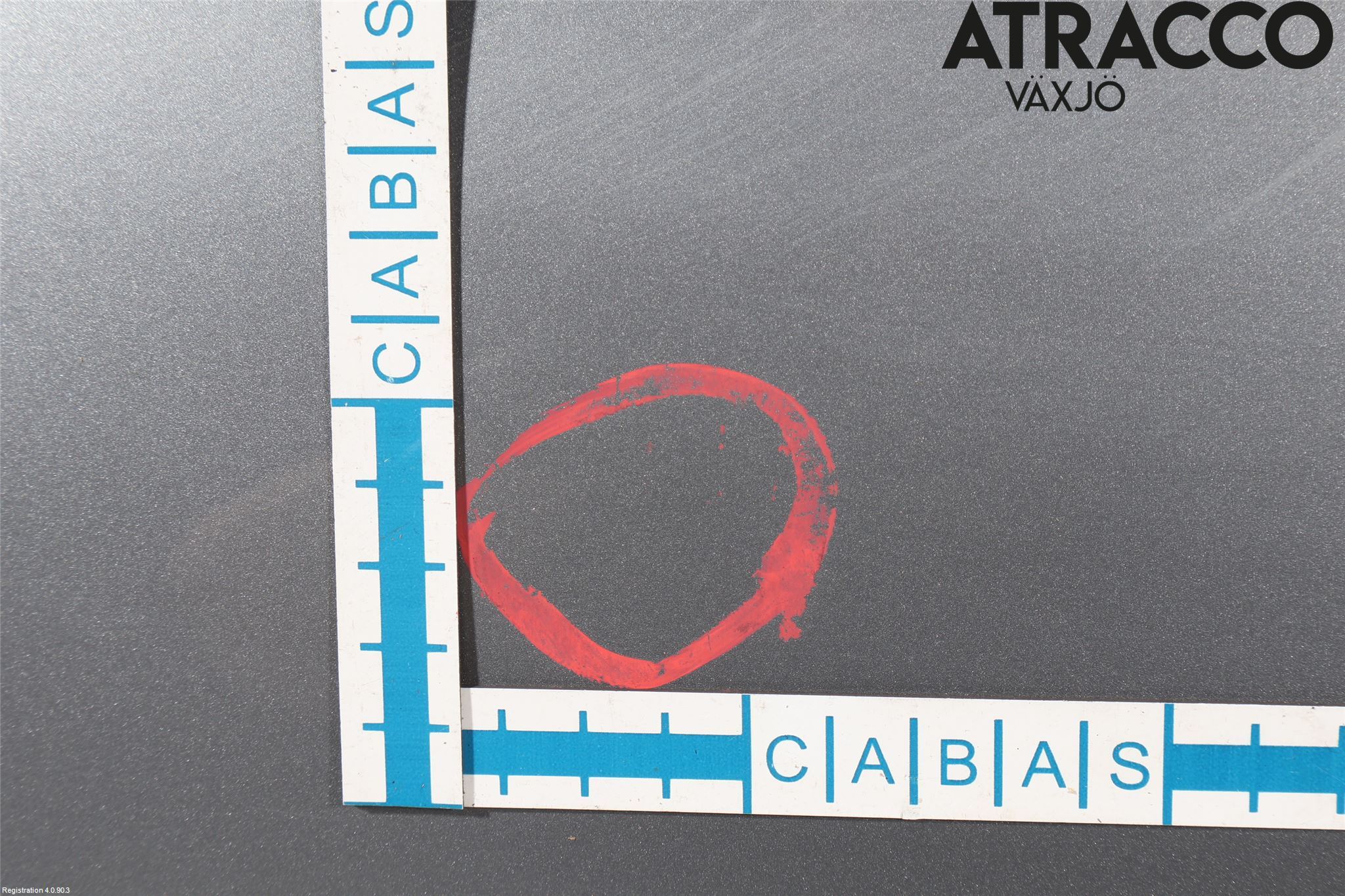 BMW 3 E46      98-05 Dörr Bak Vänster