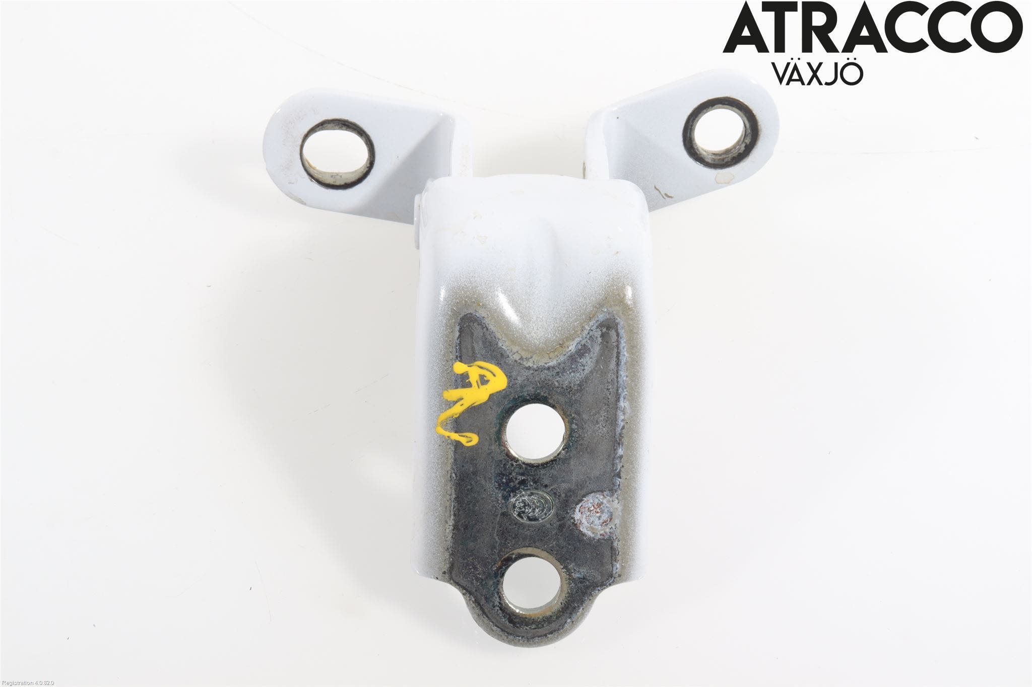 Hyundai IONIQ AE 17-22 Dörrgångjärn