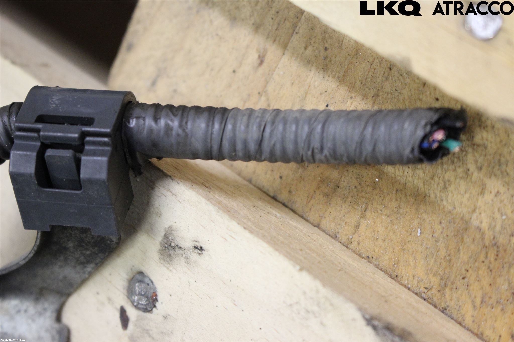 Toyota COROLLA 19- Motor Bensin