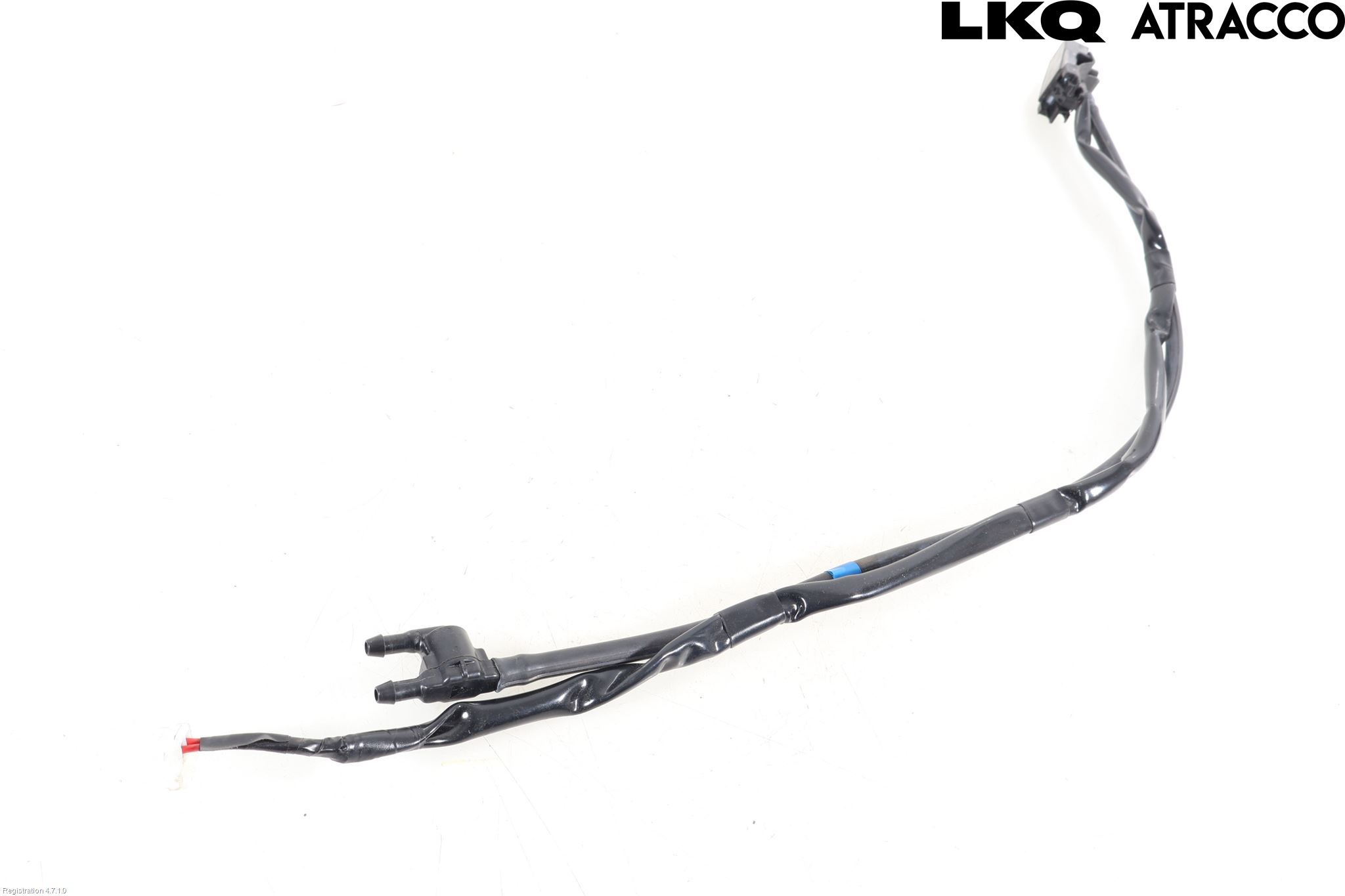 Toyota RAV4 19- Spolarmunstycke Rutor