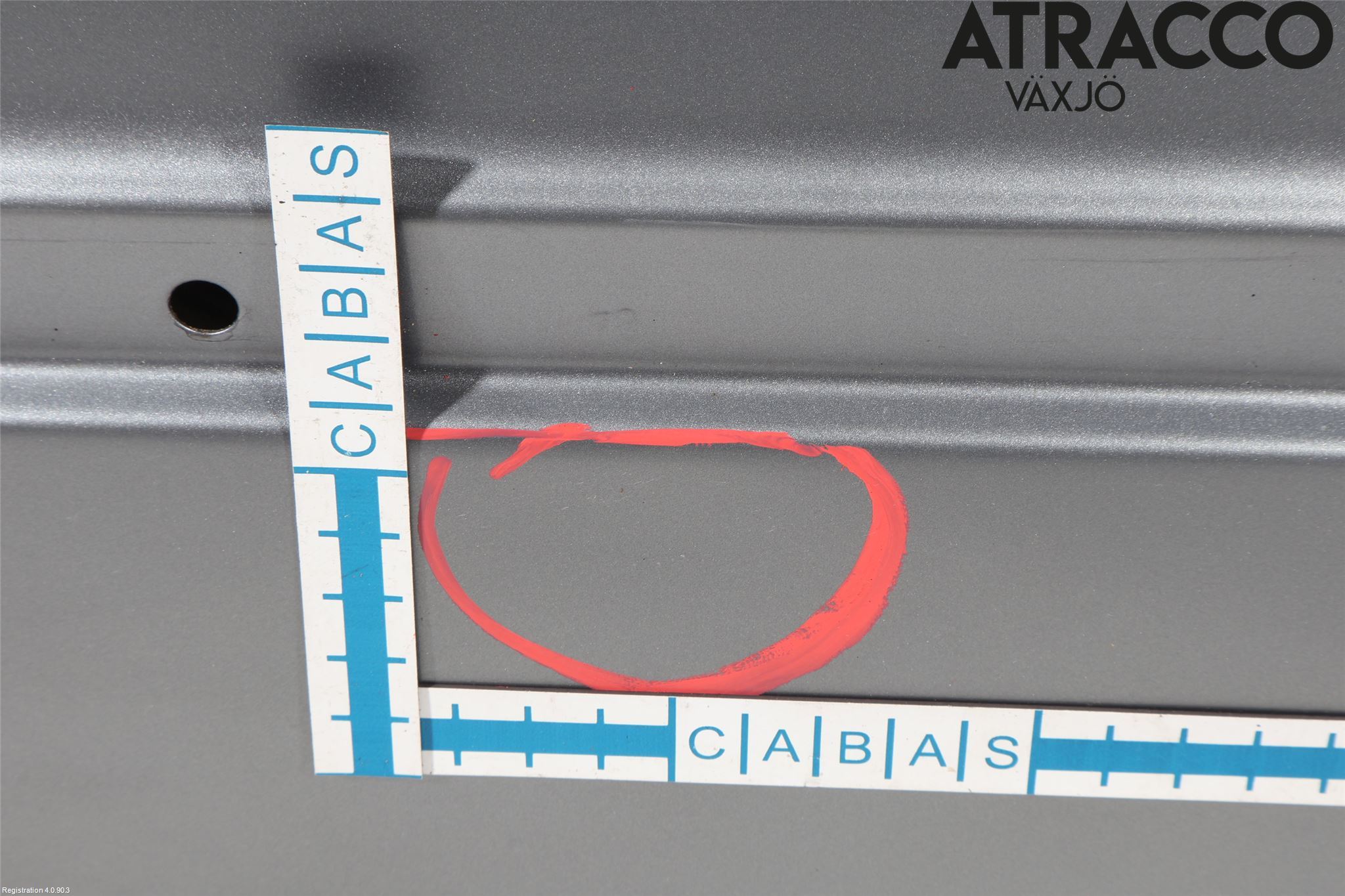 BMW 3 E46      98-05 Dörr Bak Vänster