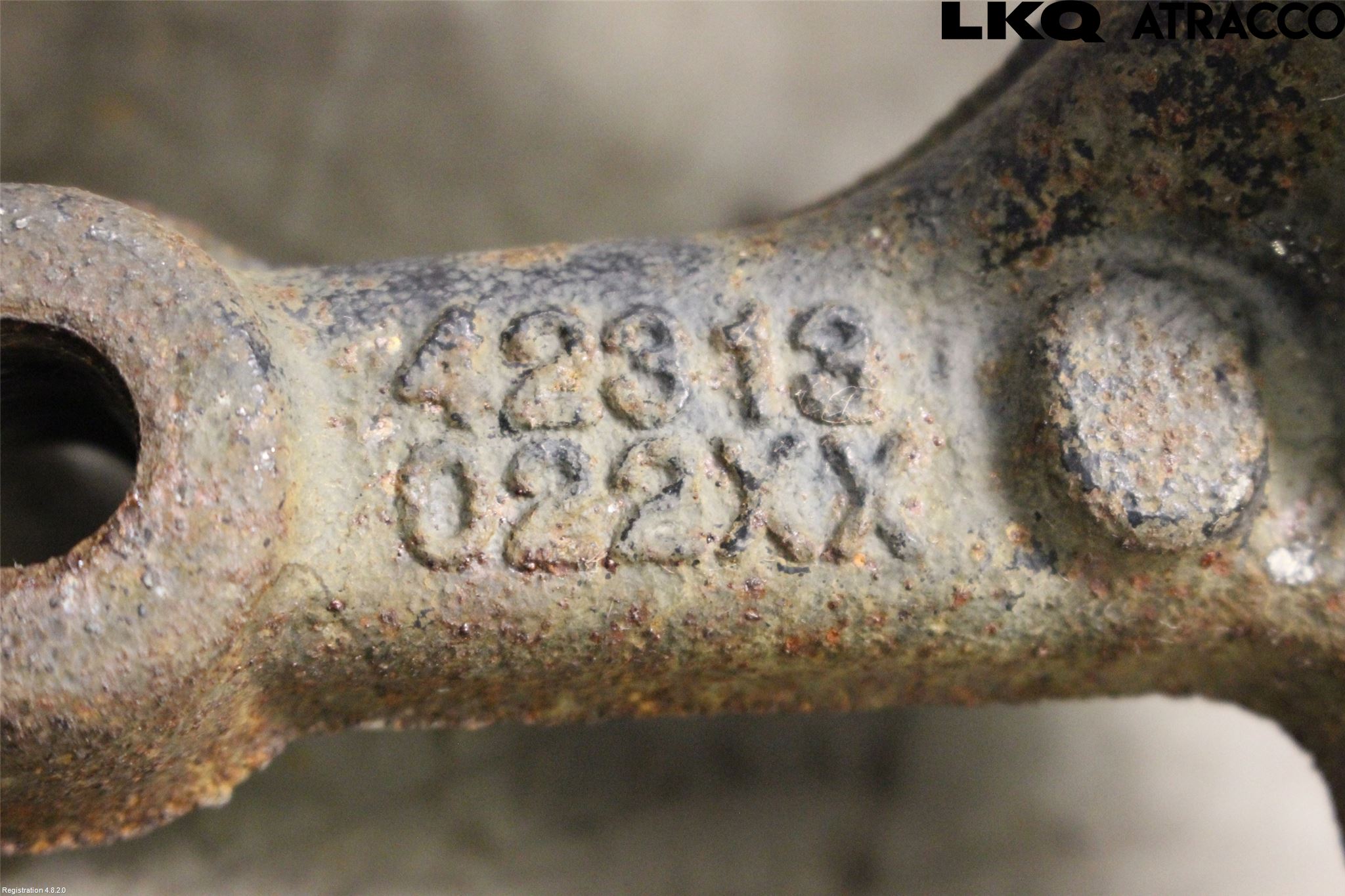 Toyota COROLLA 19- Hjullagerhus-Spindel Hö B