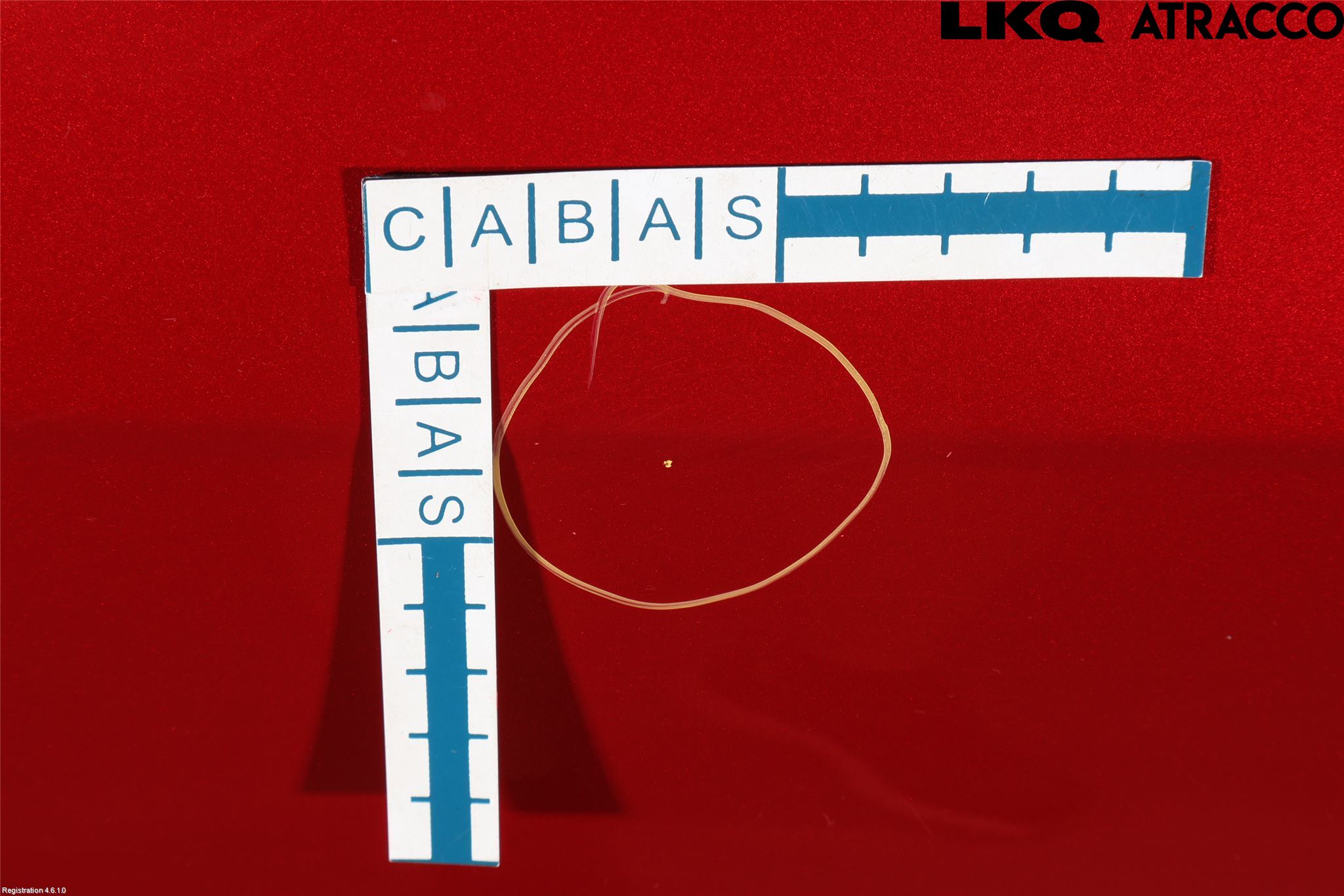 Ford FOCUS 11-14 Dörr Bak Vänster