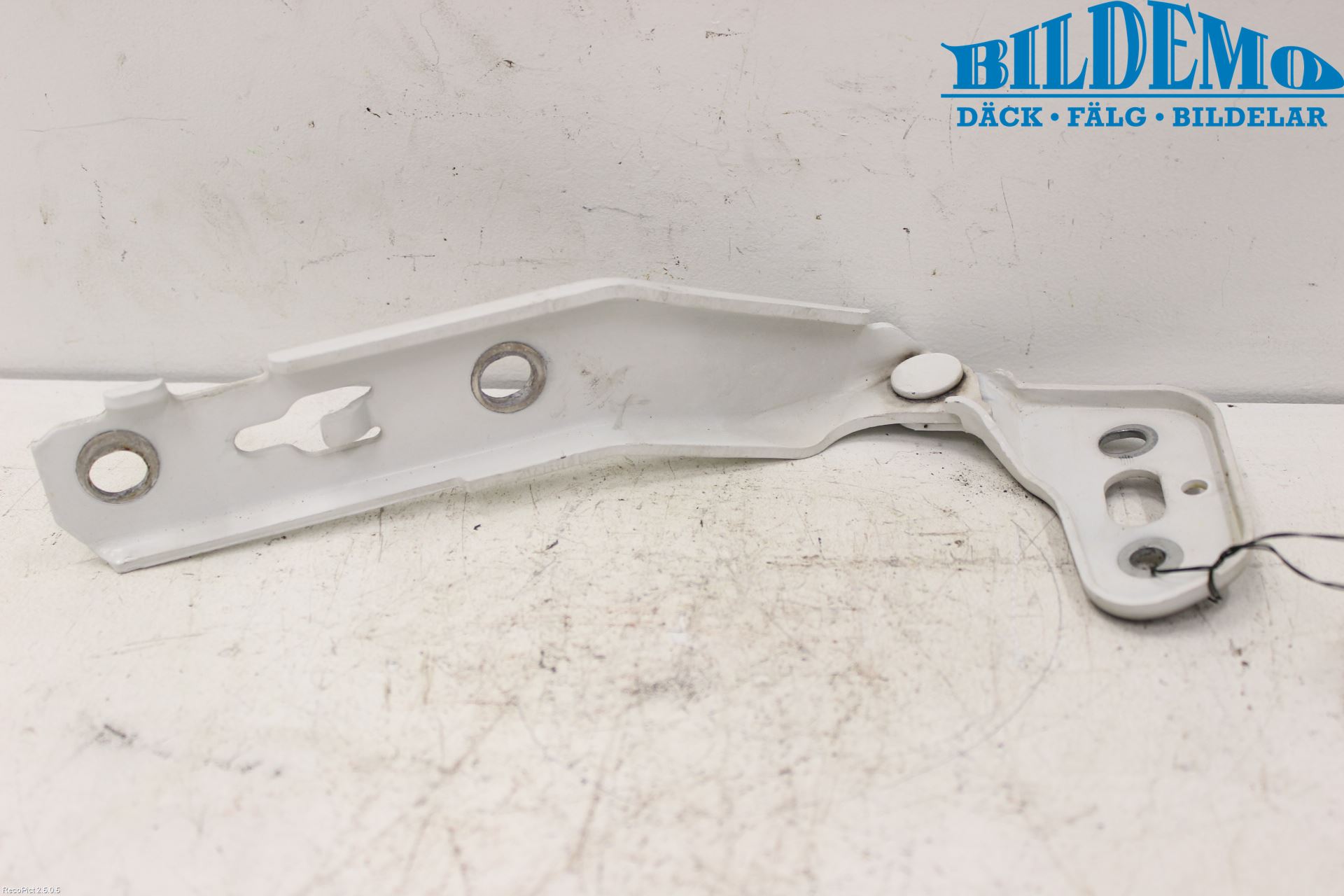 Audi A6/S6     05-11 Huvgångjärn