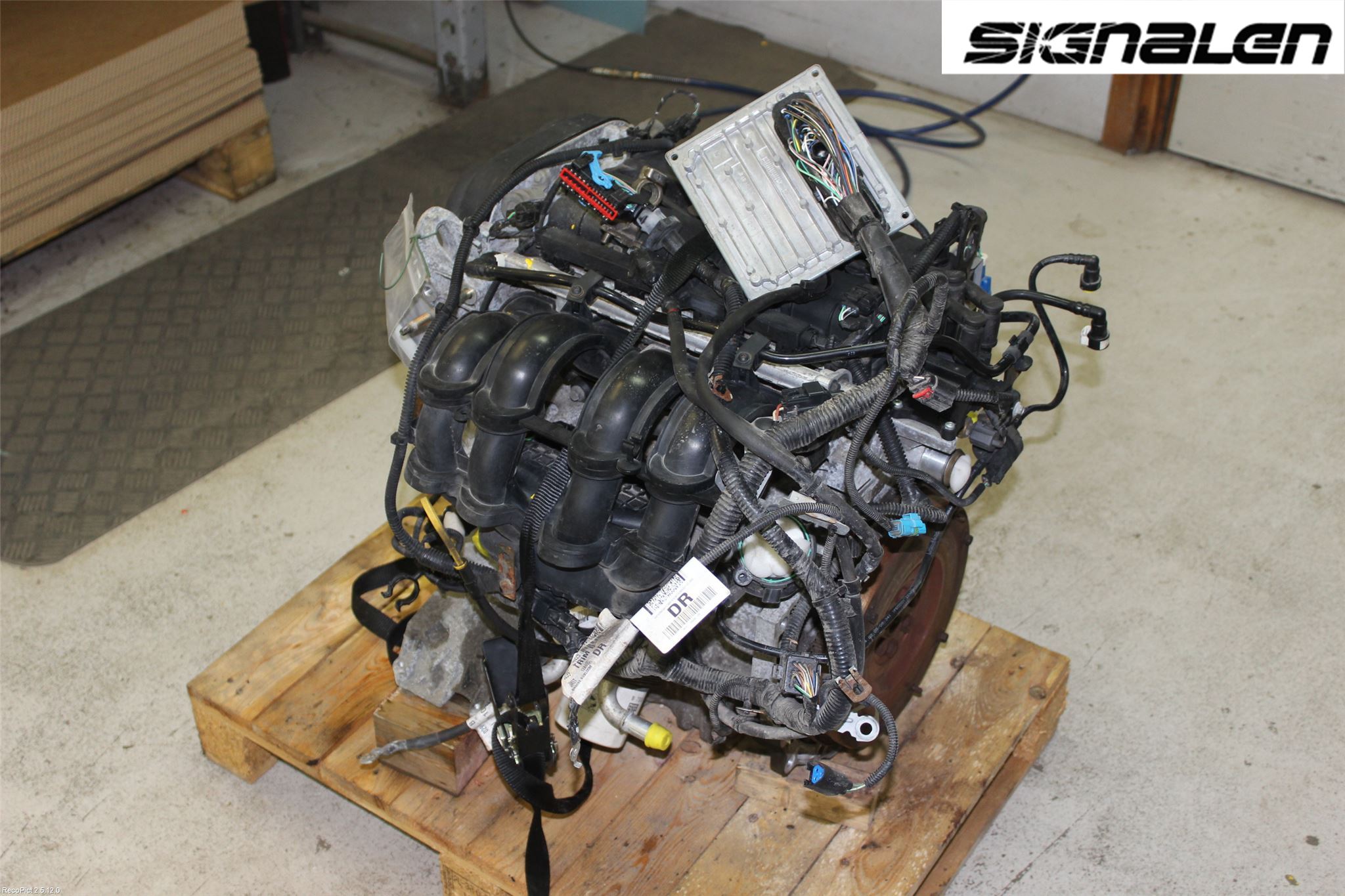 Ford FOCUS     04-07 Motor Bensin