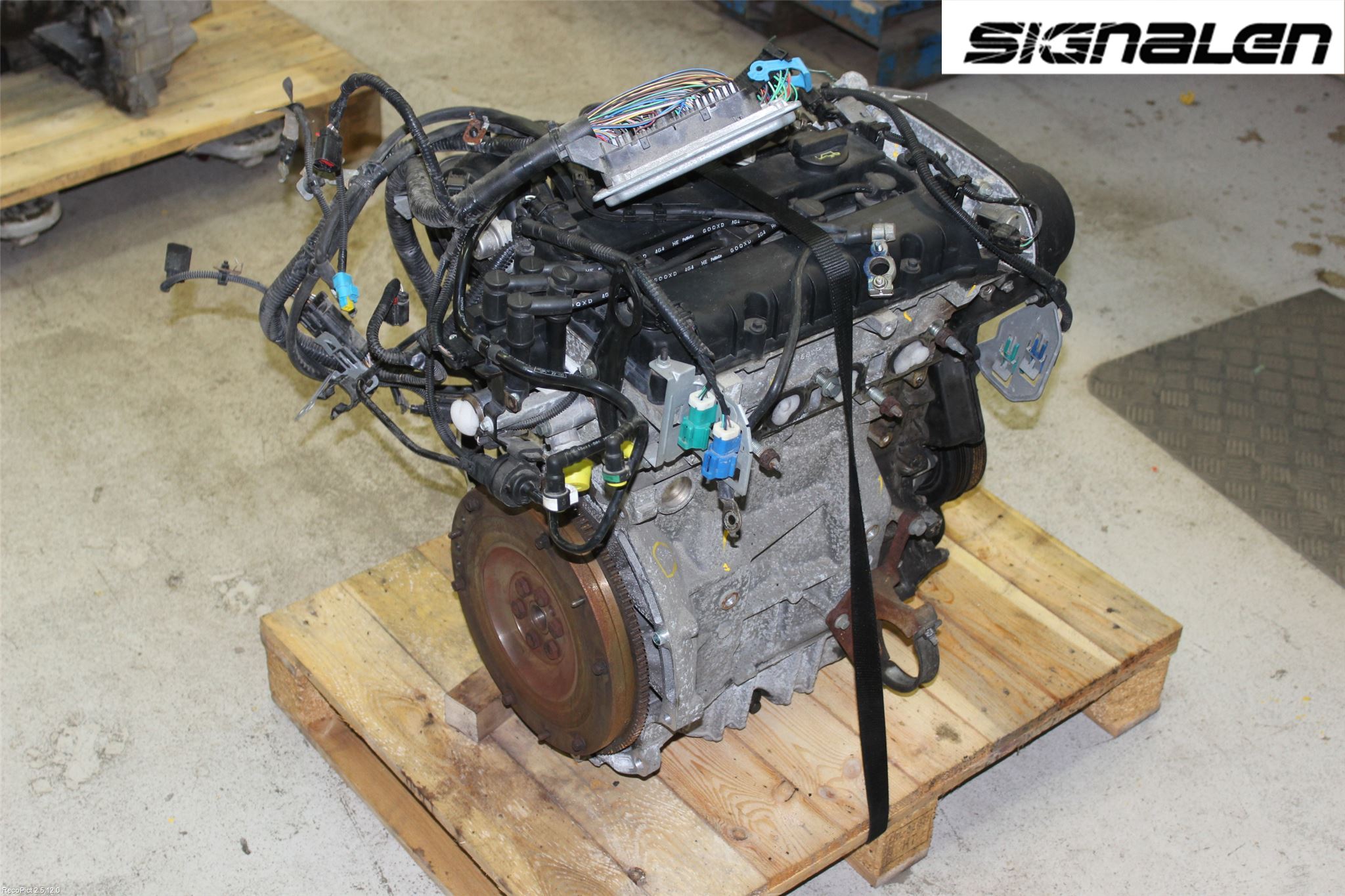 Ford FOCUS     04-07 Motor Bensin