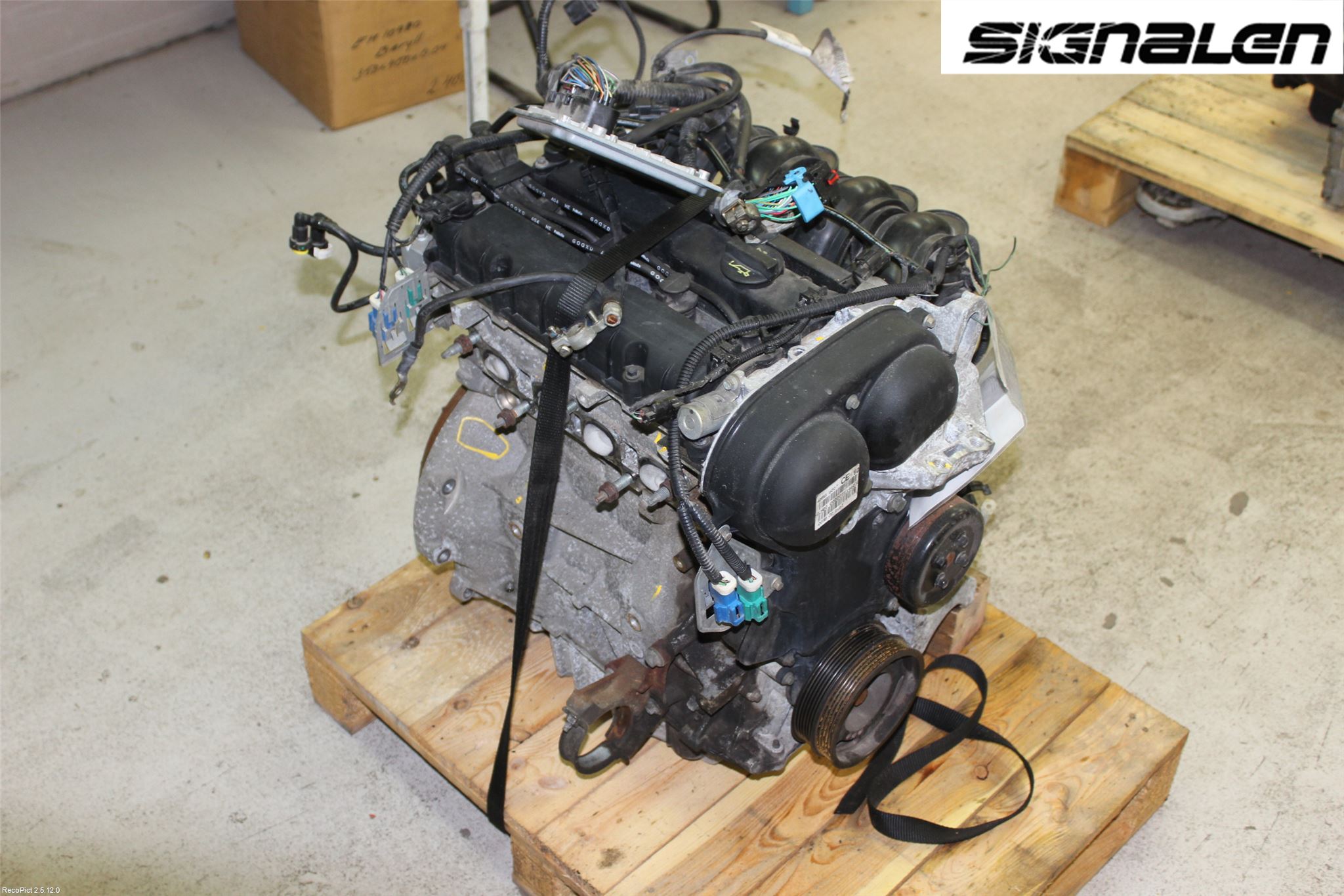Ford FOCUS     04-07 Motor Bensin