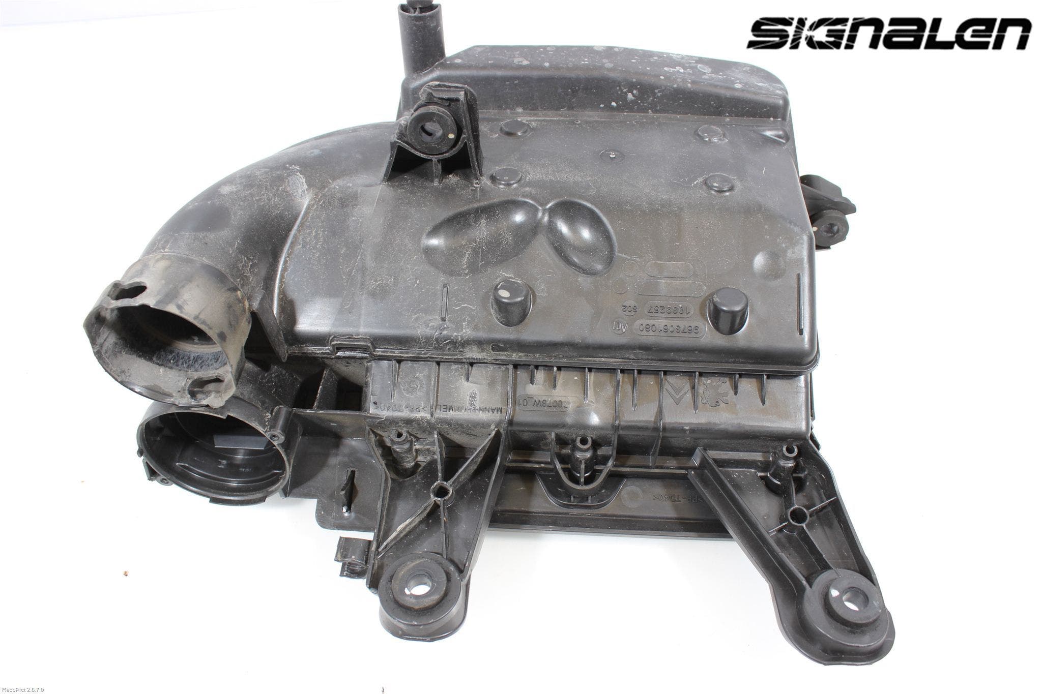 Peugeot 308 08-13 Luftrenare