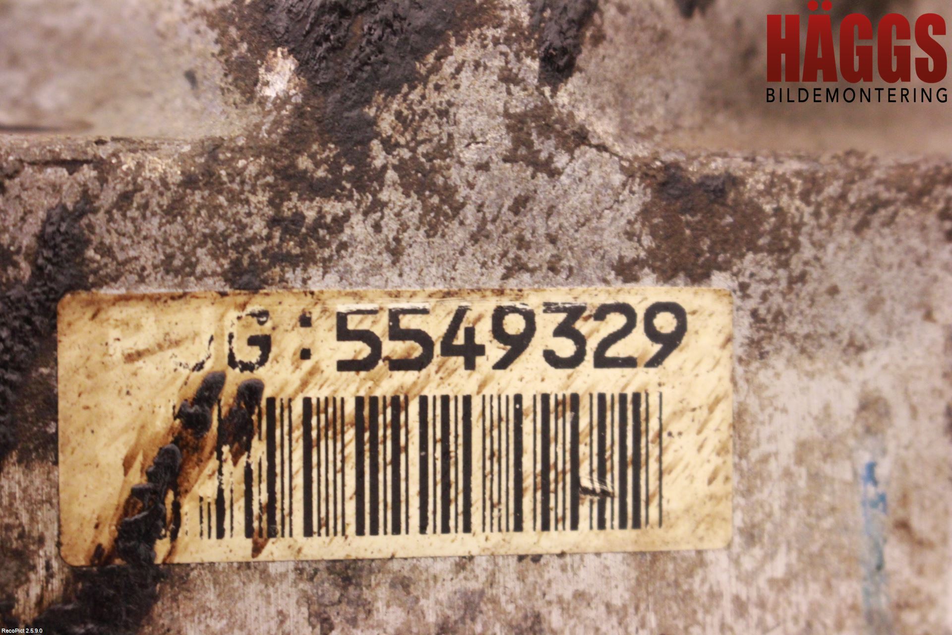 Honda ÖVRIGT/DIREKTIMPORT Bakväxel-Diff