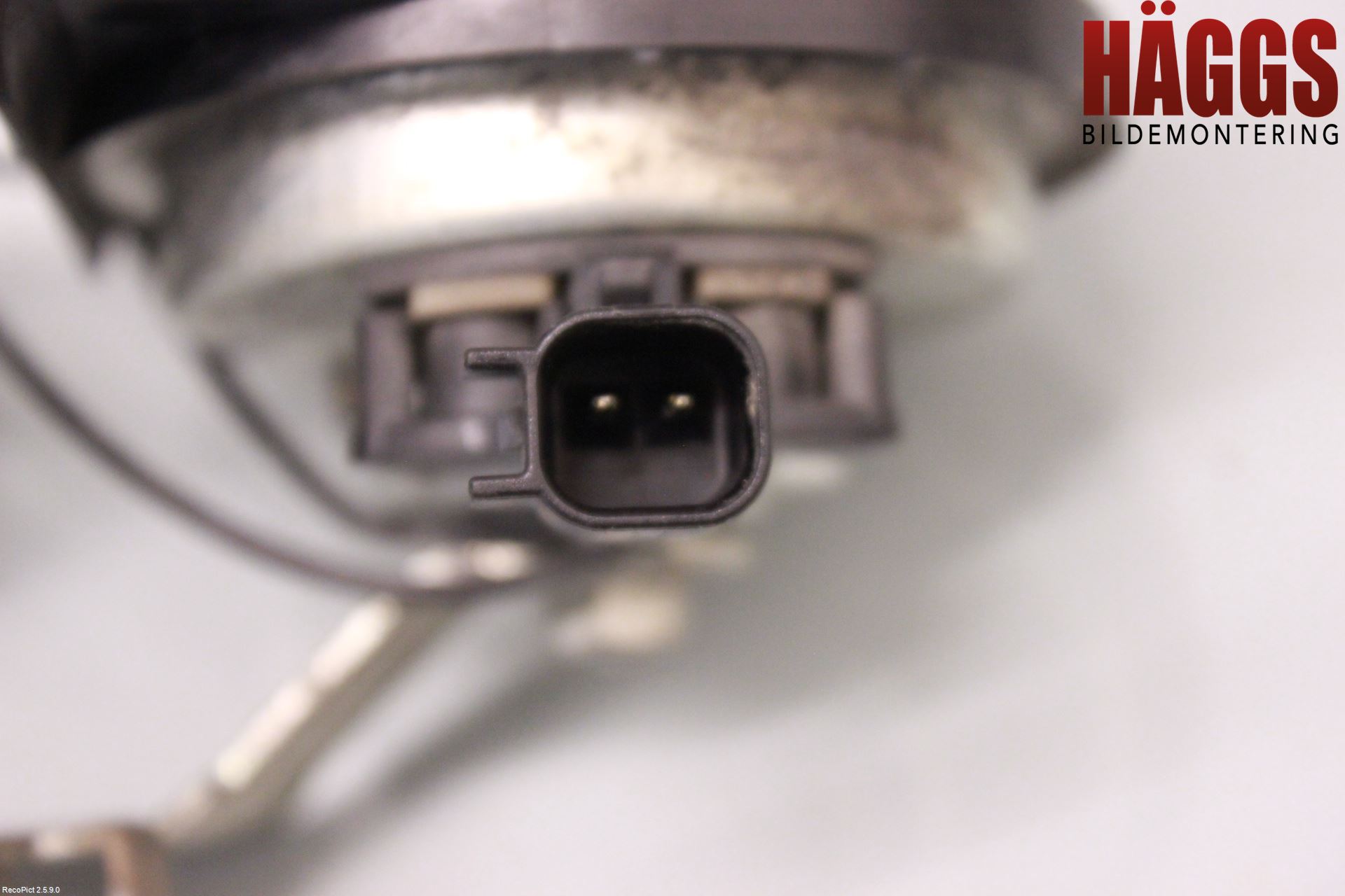 Ford FOCUS 08-11 Signalhorn