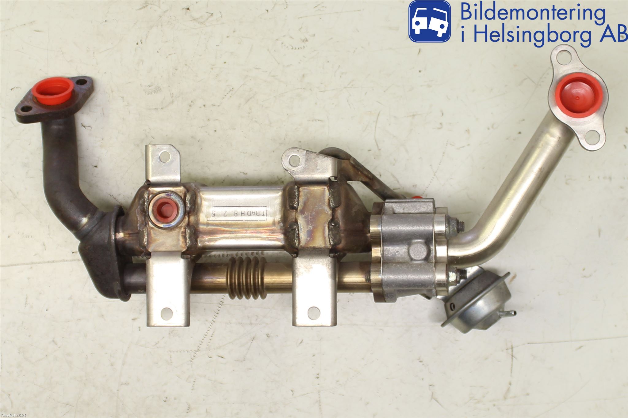 Toyota RAV 4 06-12 Avgaskylare