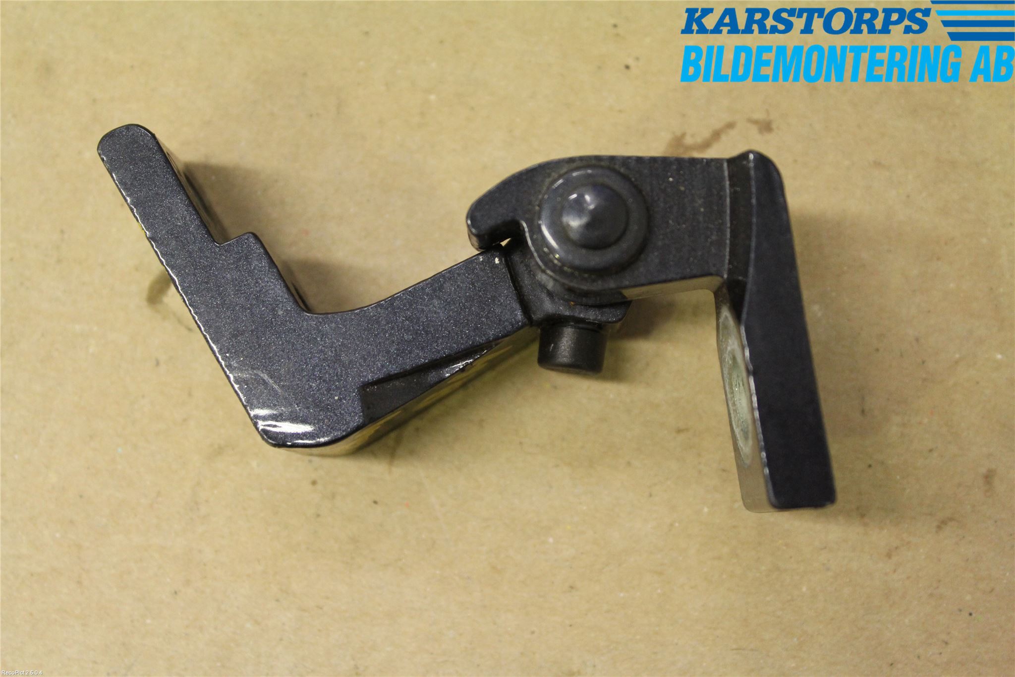 Audi A6/S6     05-11 Dörrgångjärn