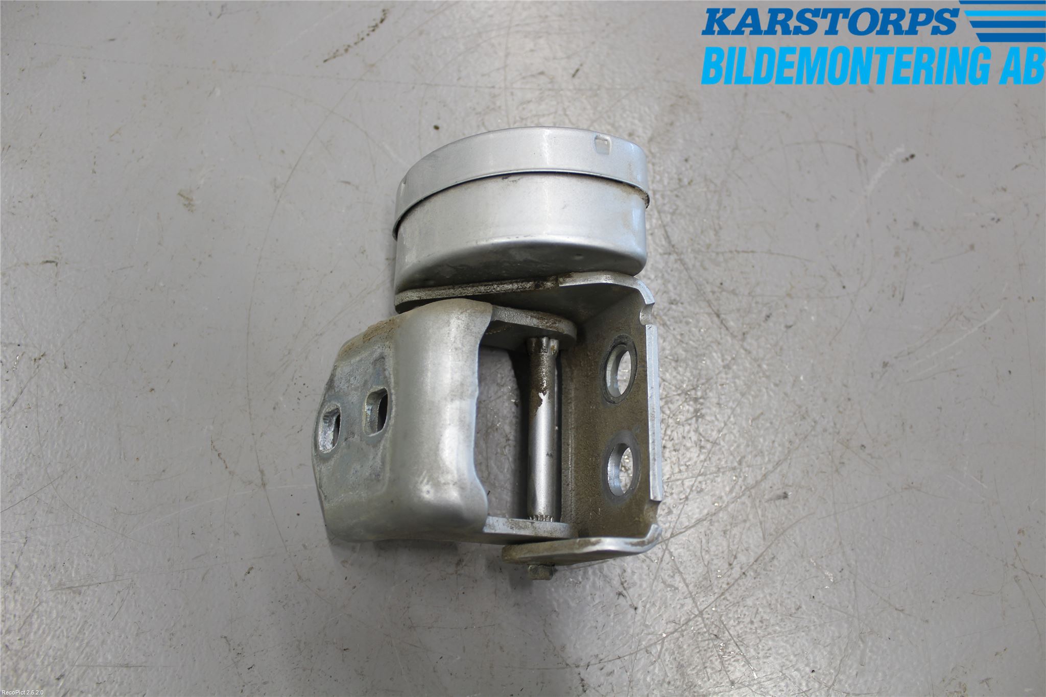 Renault SCÉNIC/GRAND 03-06 Dörrgångjärn