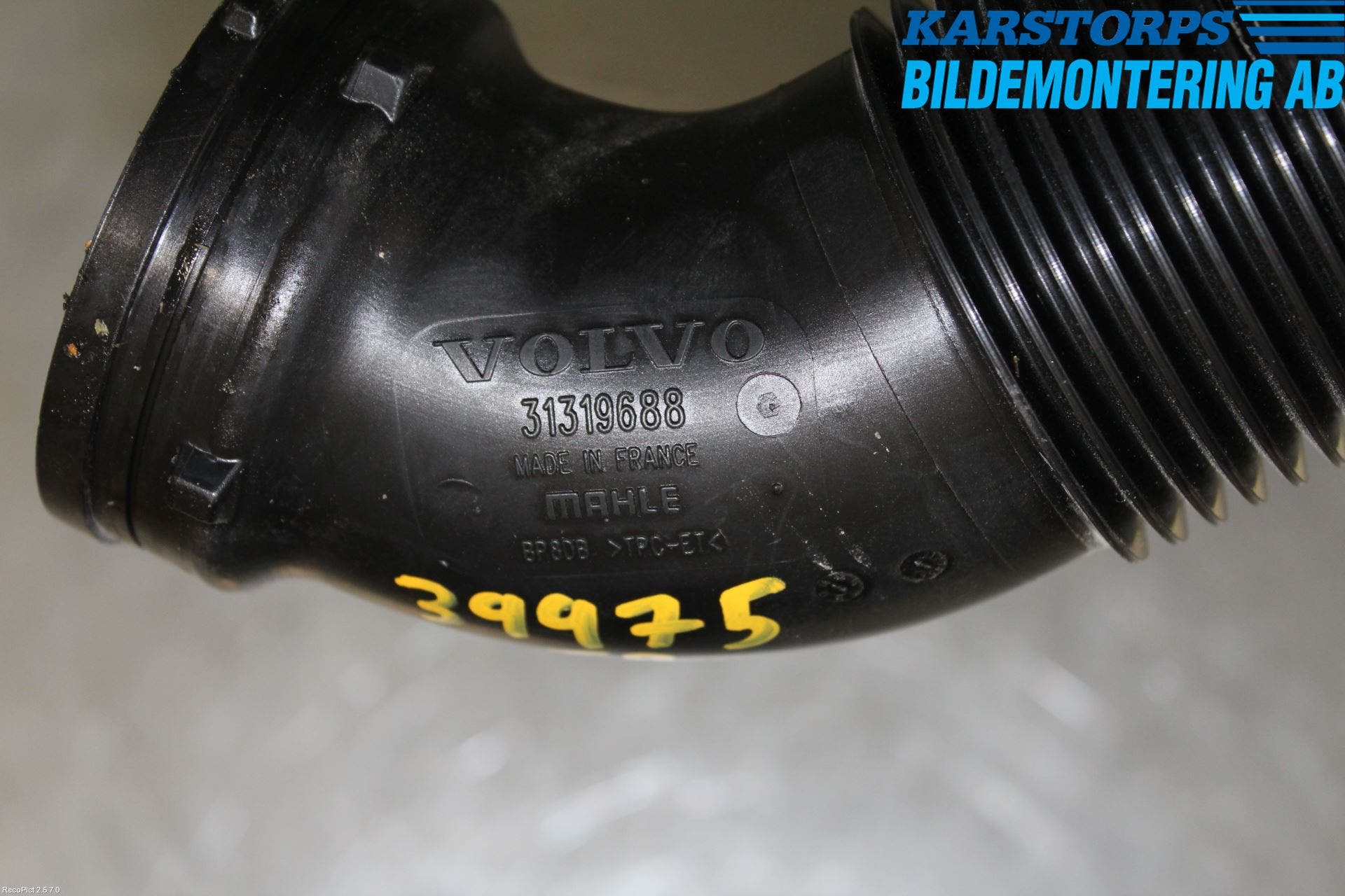 Volvo V70 14-16 Injgummibälg-Slang