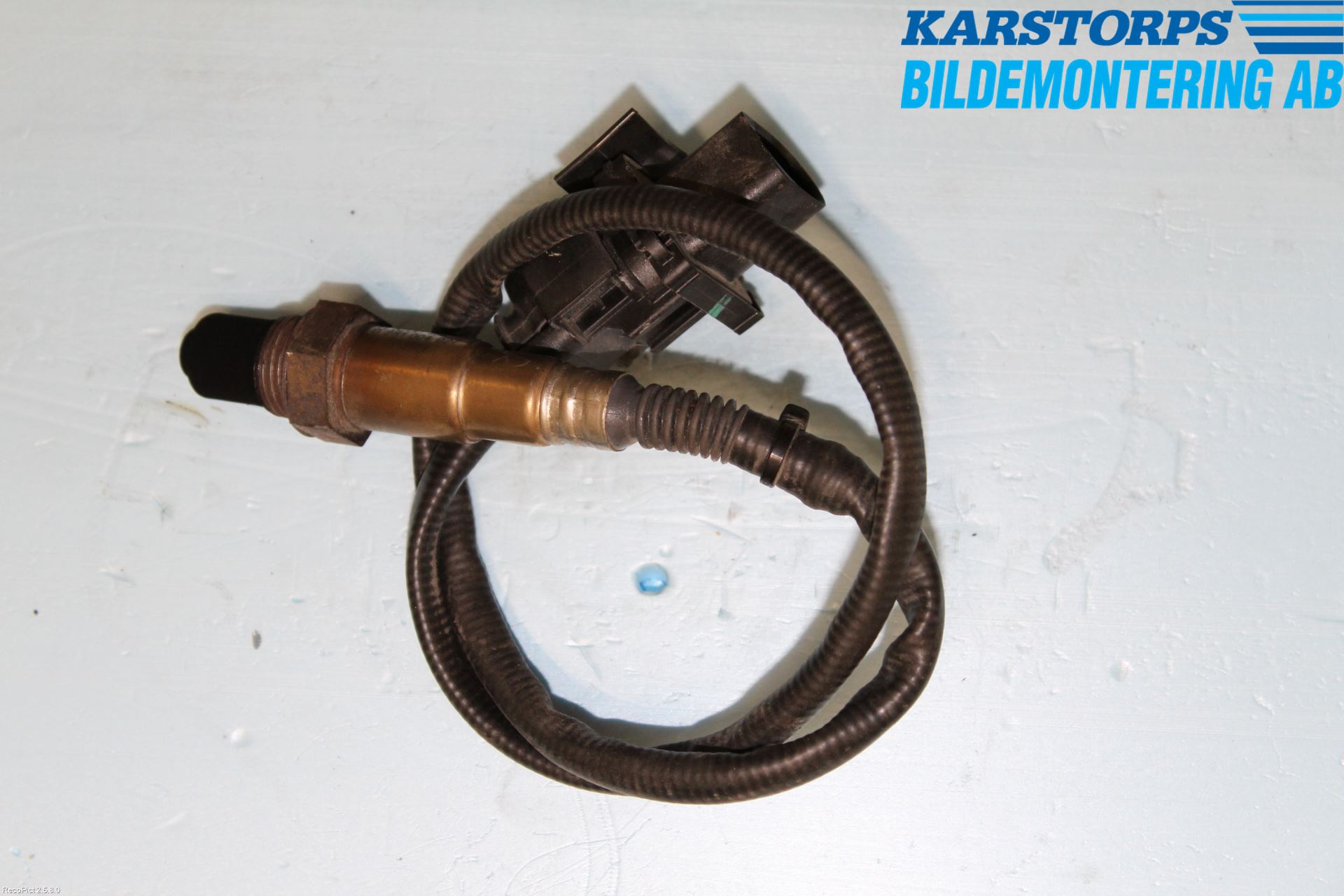 Renault KOLEOS I 08-10 Injlambdasond