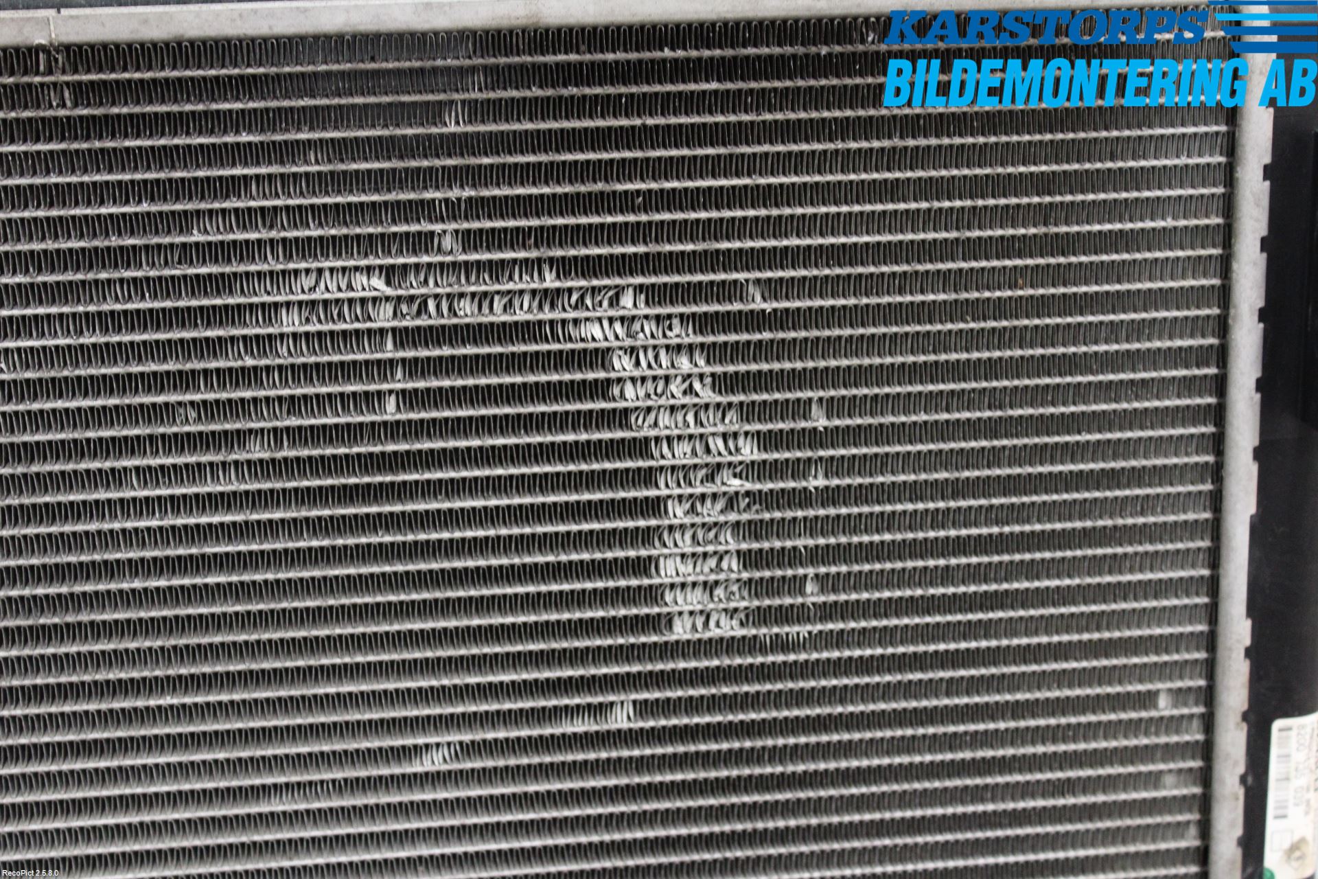 Dacia SANDERO 09-13 Kylare Man