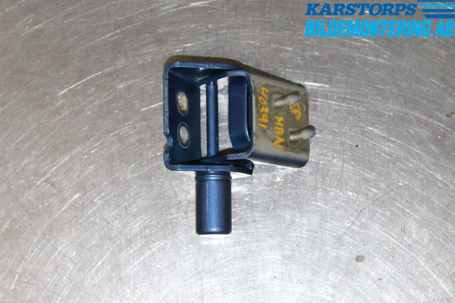 Renault CLIO III  09-12 Dörrgångjärn