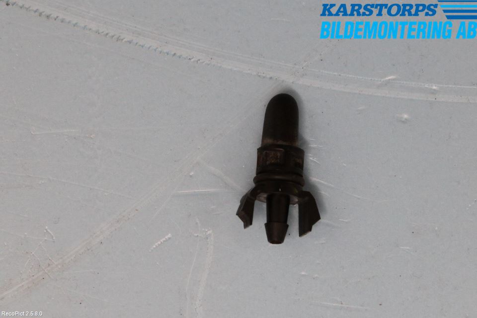 Renault CLIO III  09-12 Spolarmunstycke Rutor