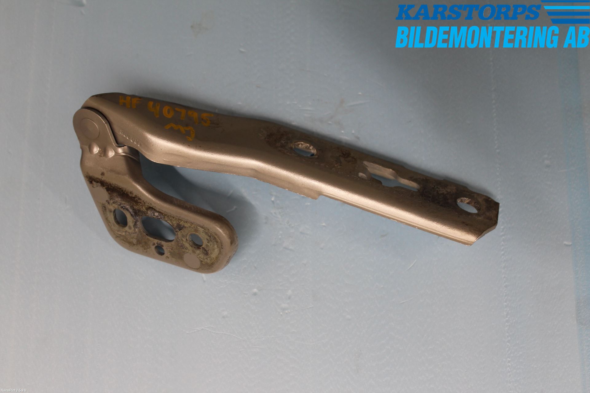 Audi A6/S6     05-11 Huvgångjärn