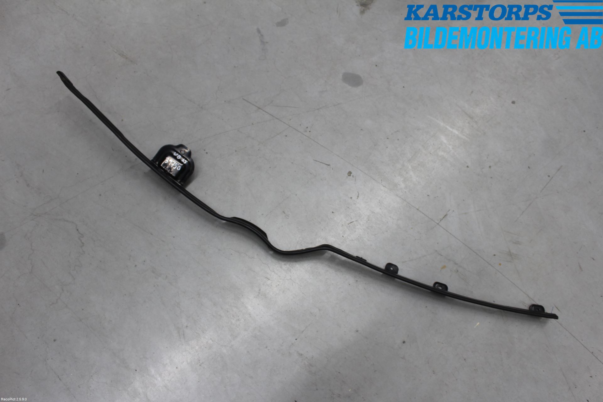 Kia CARNIVAL Dörr Gummilist