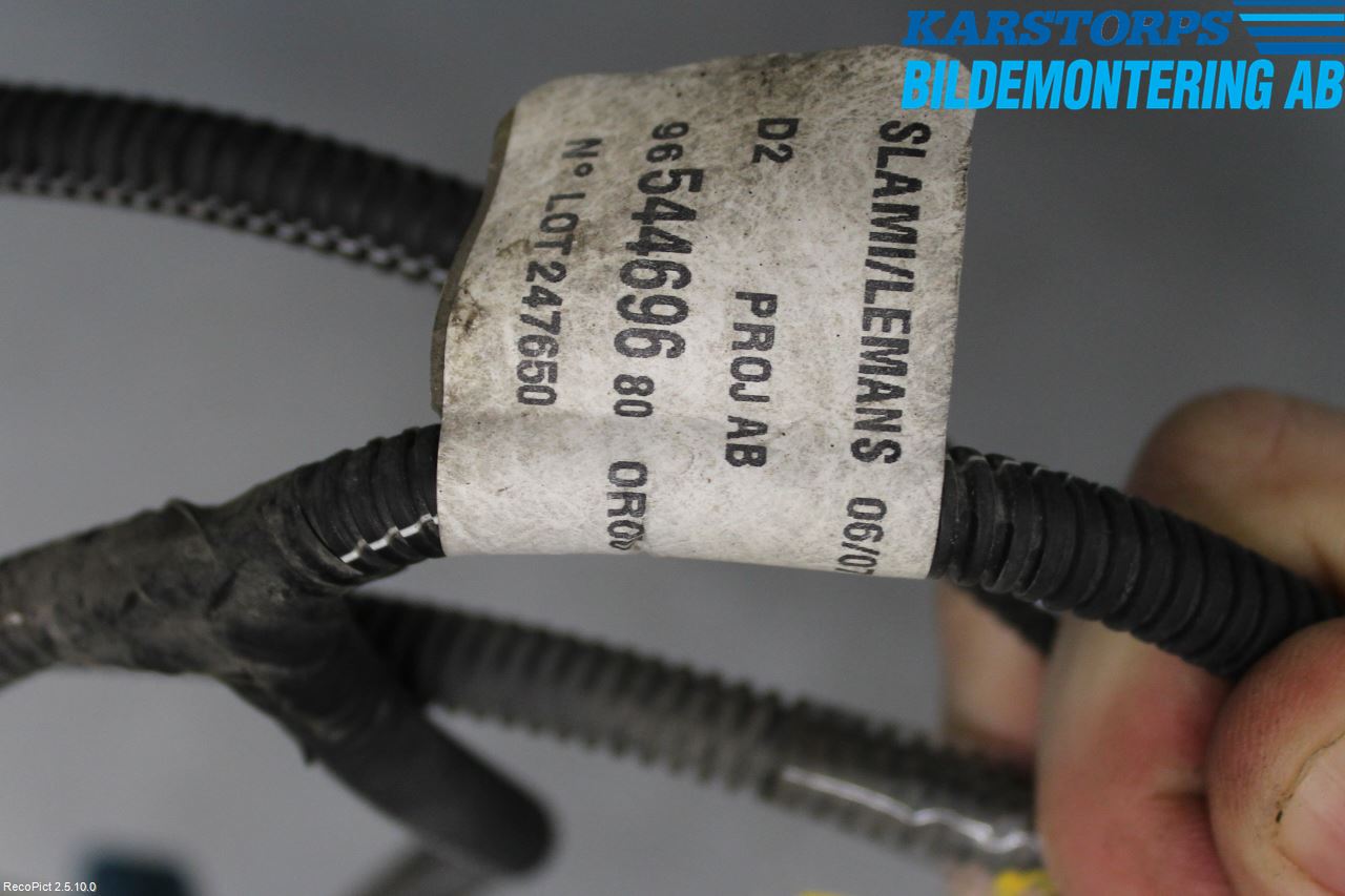 Peugeot 407 Kabelhärva