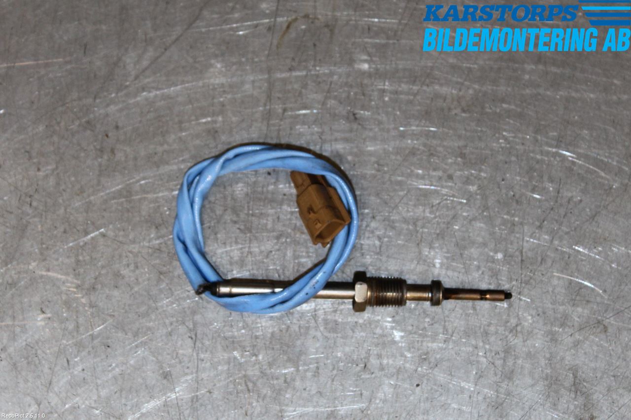 Renault MEGANE III 09-15 Sensor Avgas