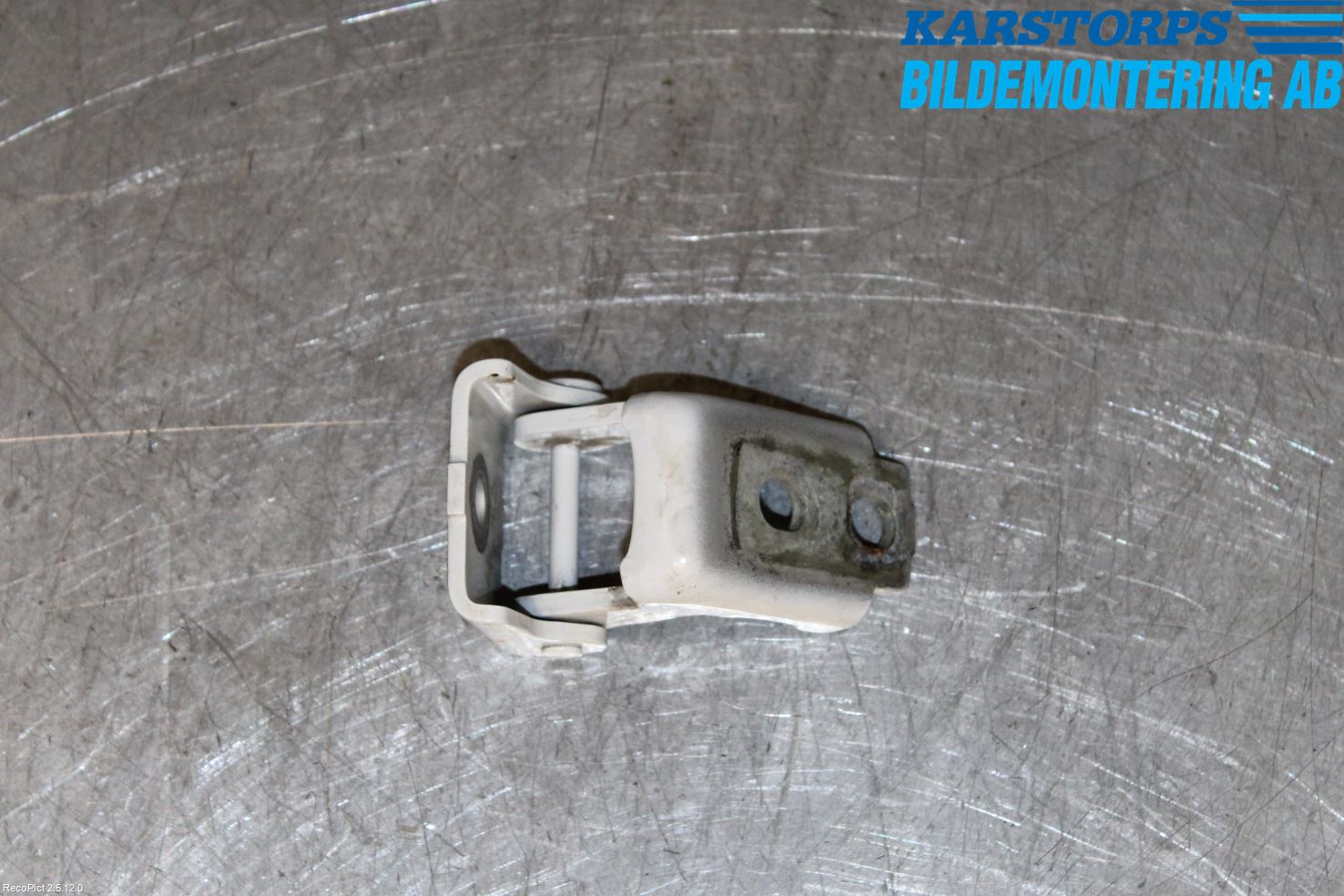 Renault MEGANE III 09-15 Dörrgångjärn