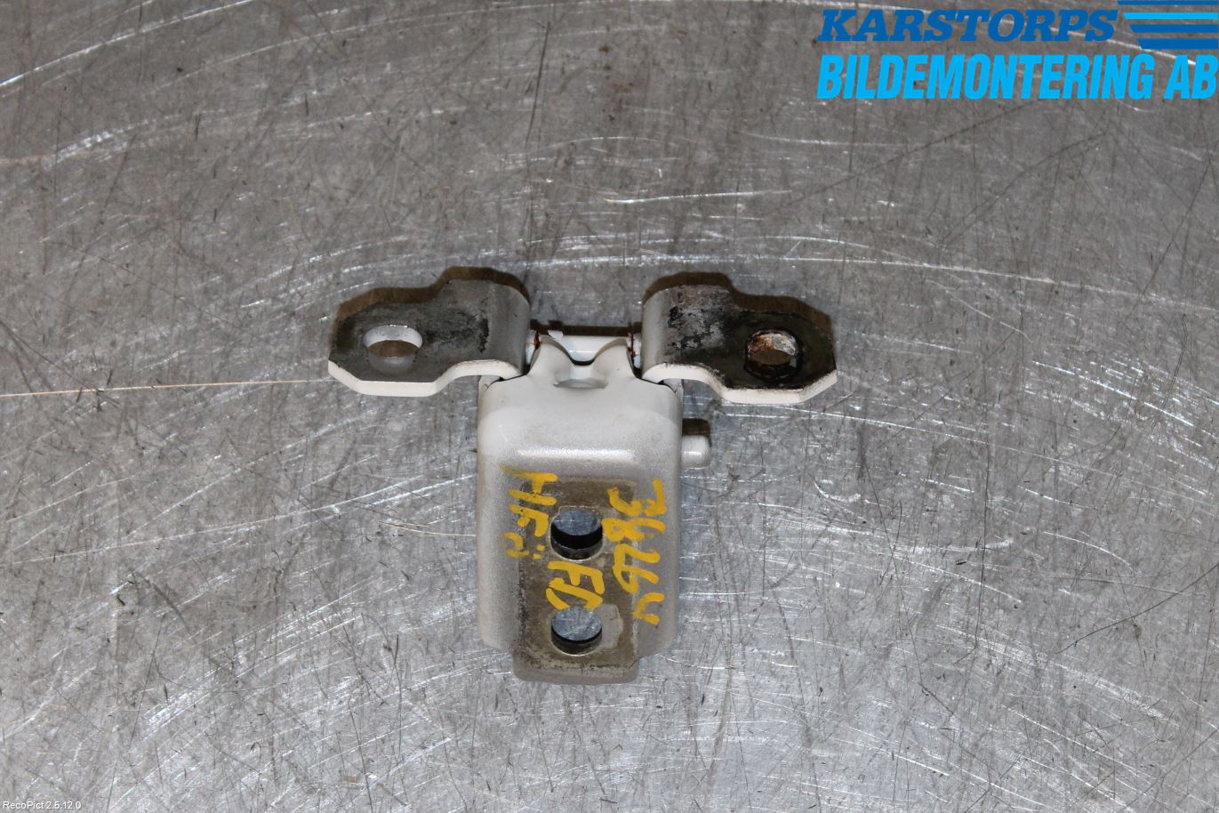 Renault MEGANE III 09-15 Dörrgångjärn