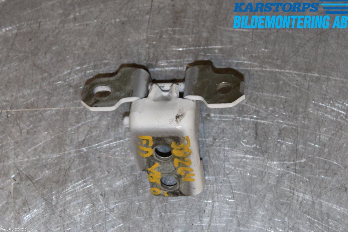 Renault MEGANE III 09-15 Dörrgångjärn