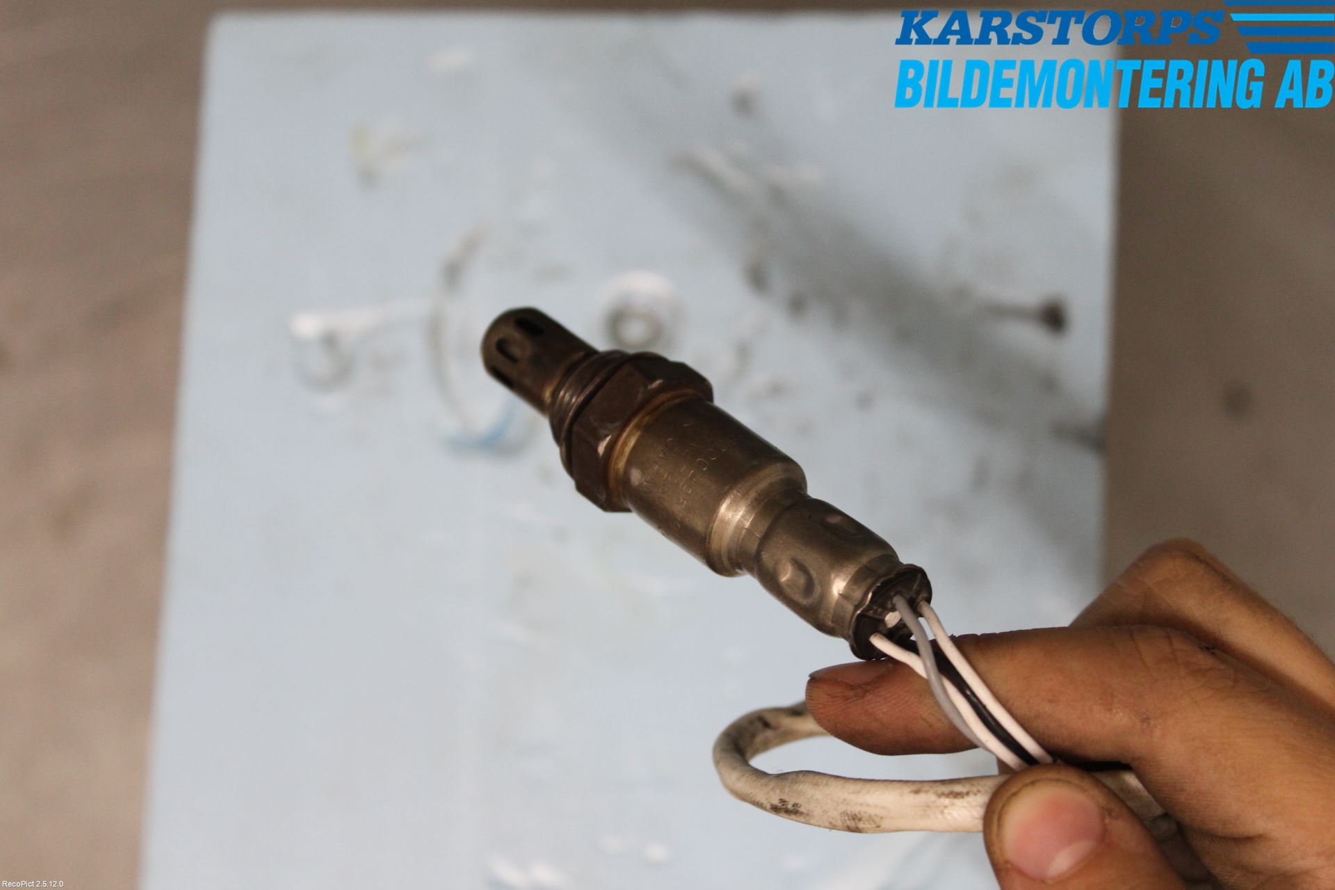 Renault CAPTUR 13-19 Injlambdasond