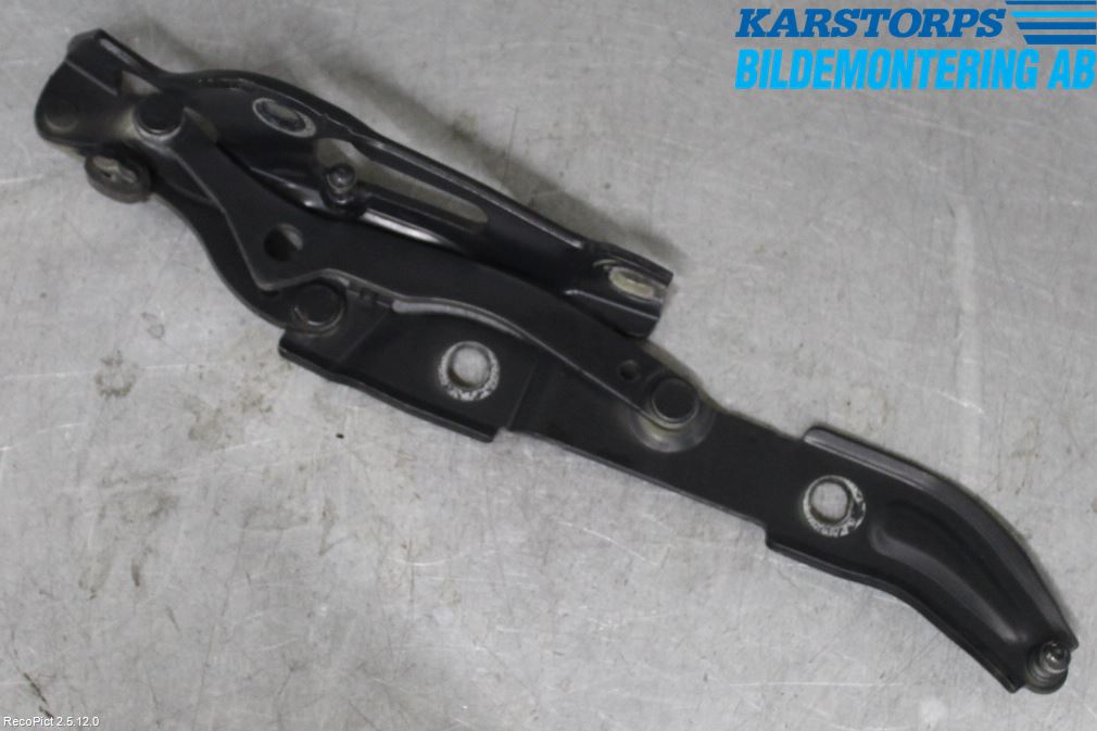 BMW 3 E90/91 SED/TOU 05-12 Bakluckegångjärn Hö
