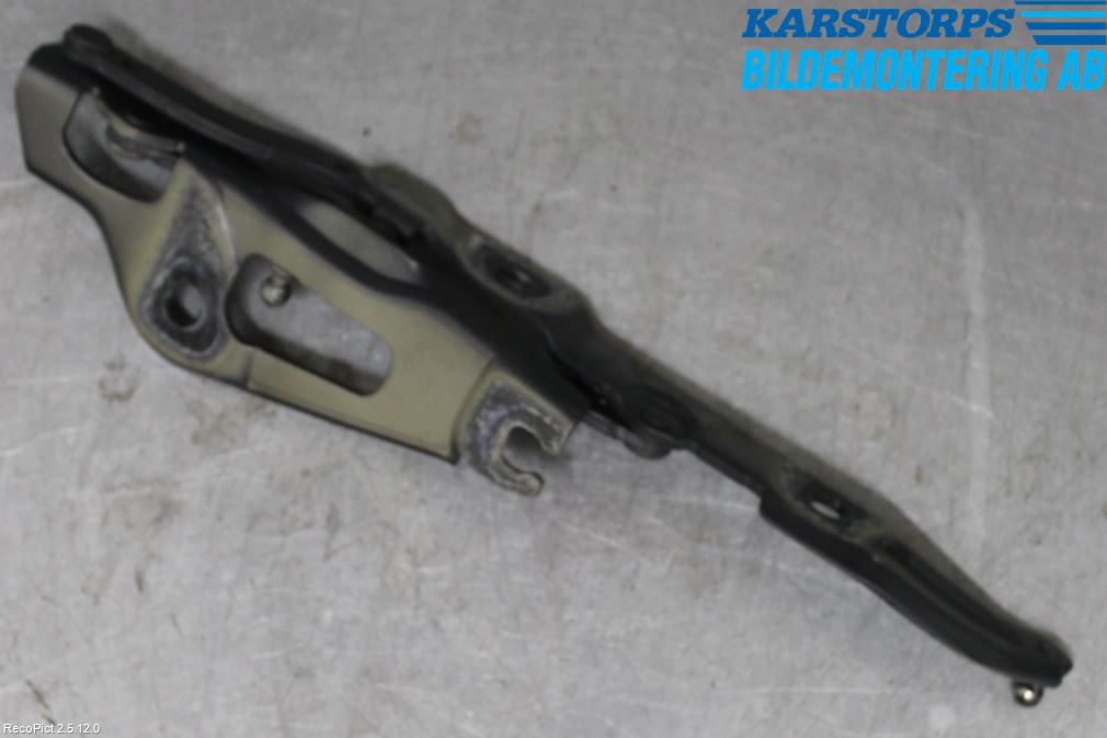 BMW 3 E90/91 SED/TOU 05-12 Bakluckegångjärn Hö