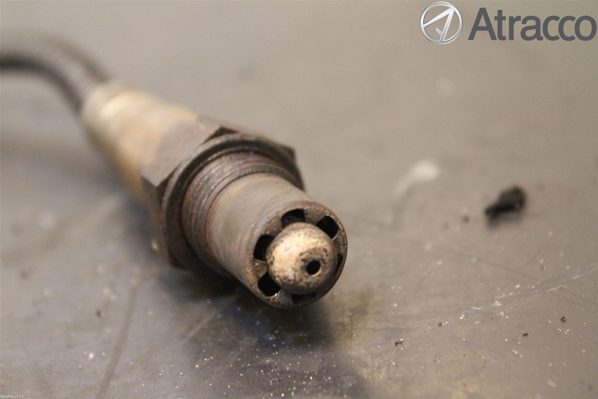 Smart FORTWO I 99-07 Injlambdasond