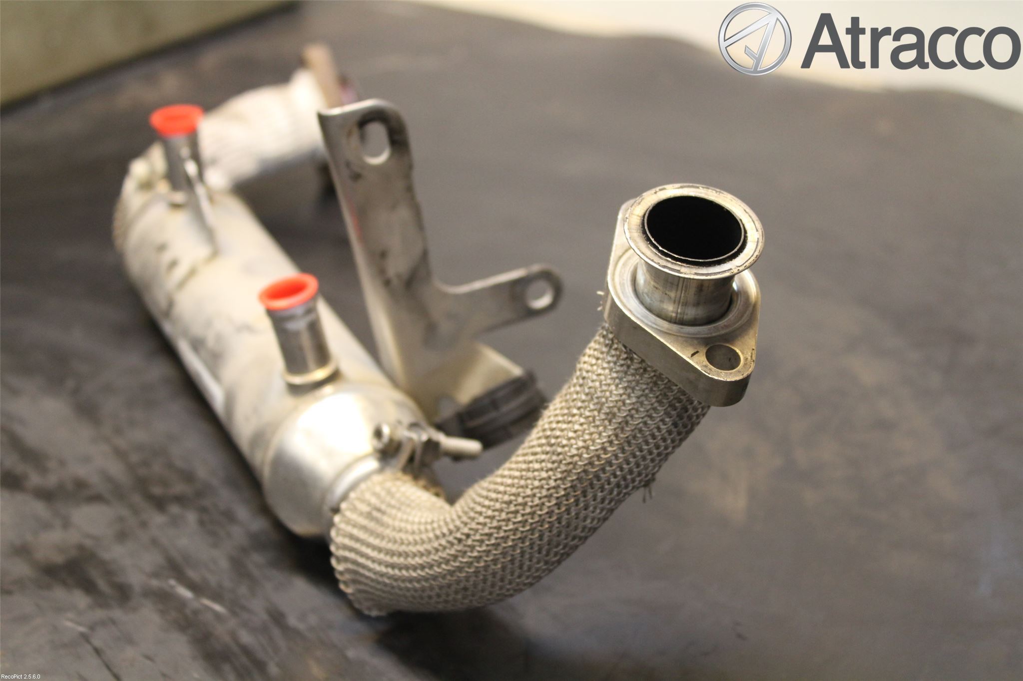 Fiat BRAVO 07-11 Avgaskylare