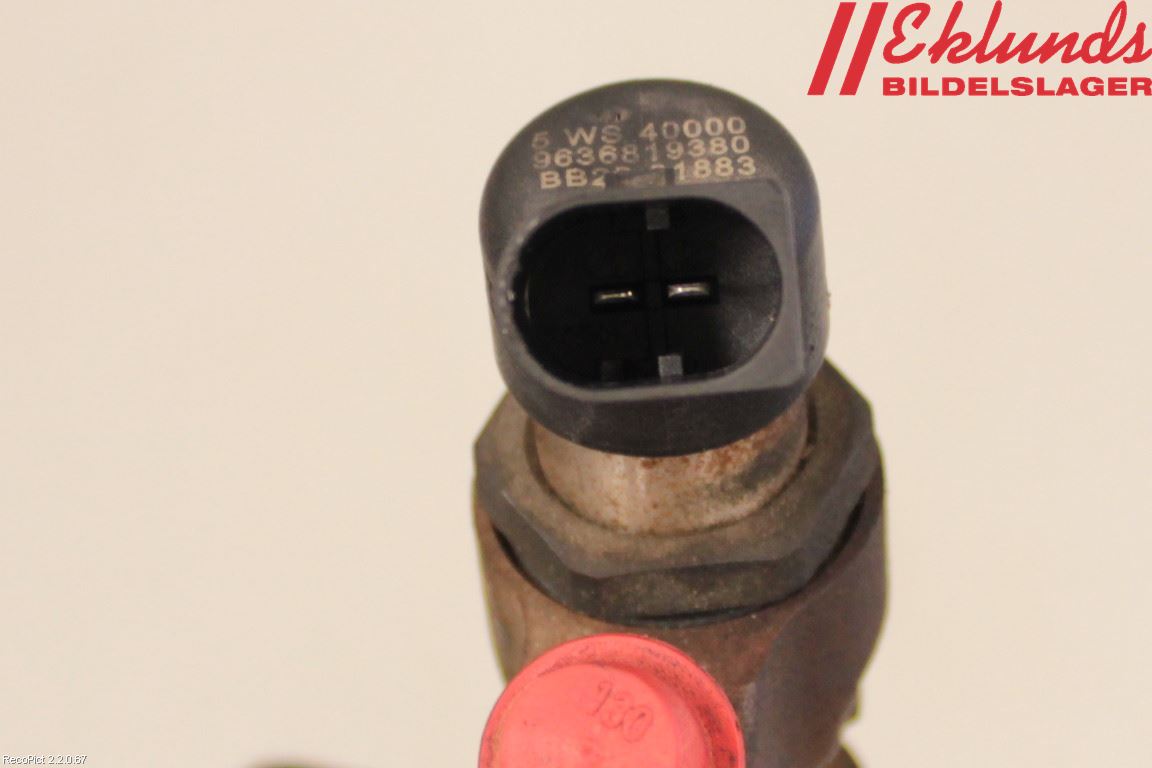 Peugeot 307     01-05 Injspridare