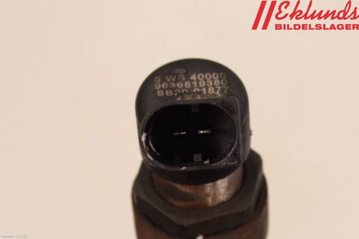 Peugeot 307     01-05 Injspridare