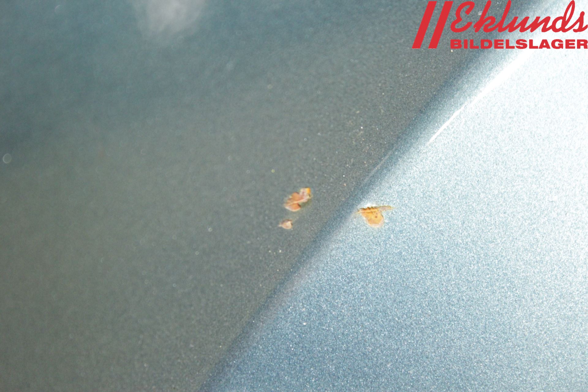 Nissan PRIMERA 02-07 Skärm Fram Vänster