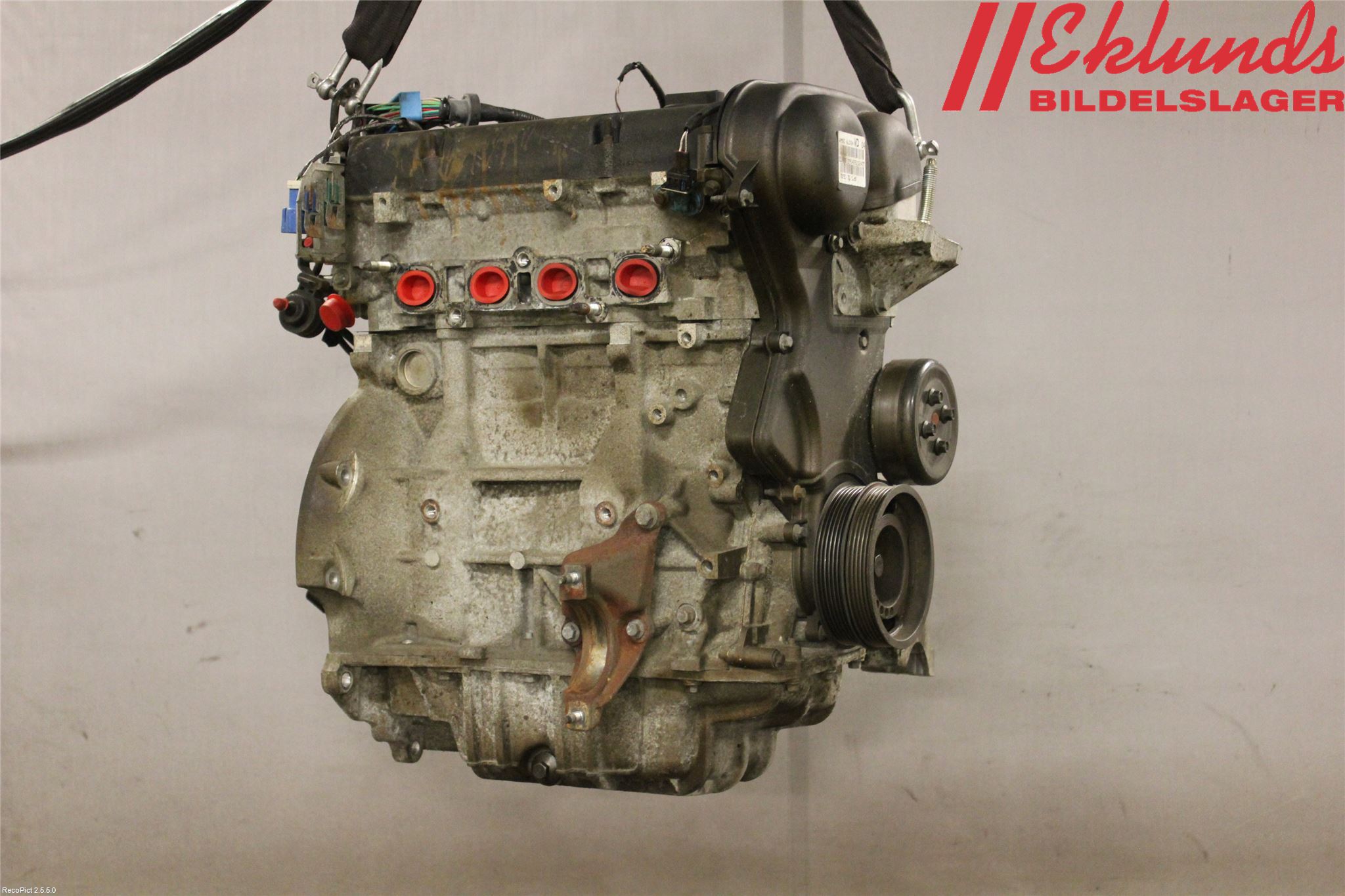 Ford FOCUS     04-07 Motor Bensin