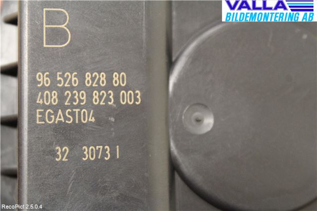 Peugeot 307     01-05 Injspjällhus