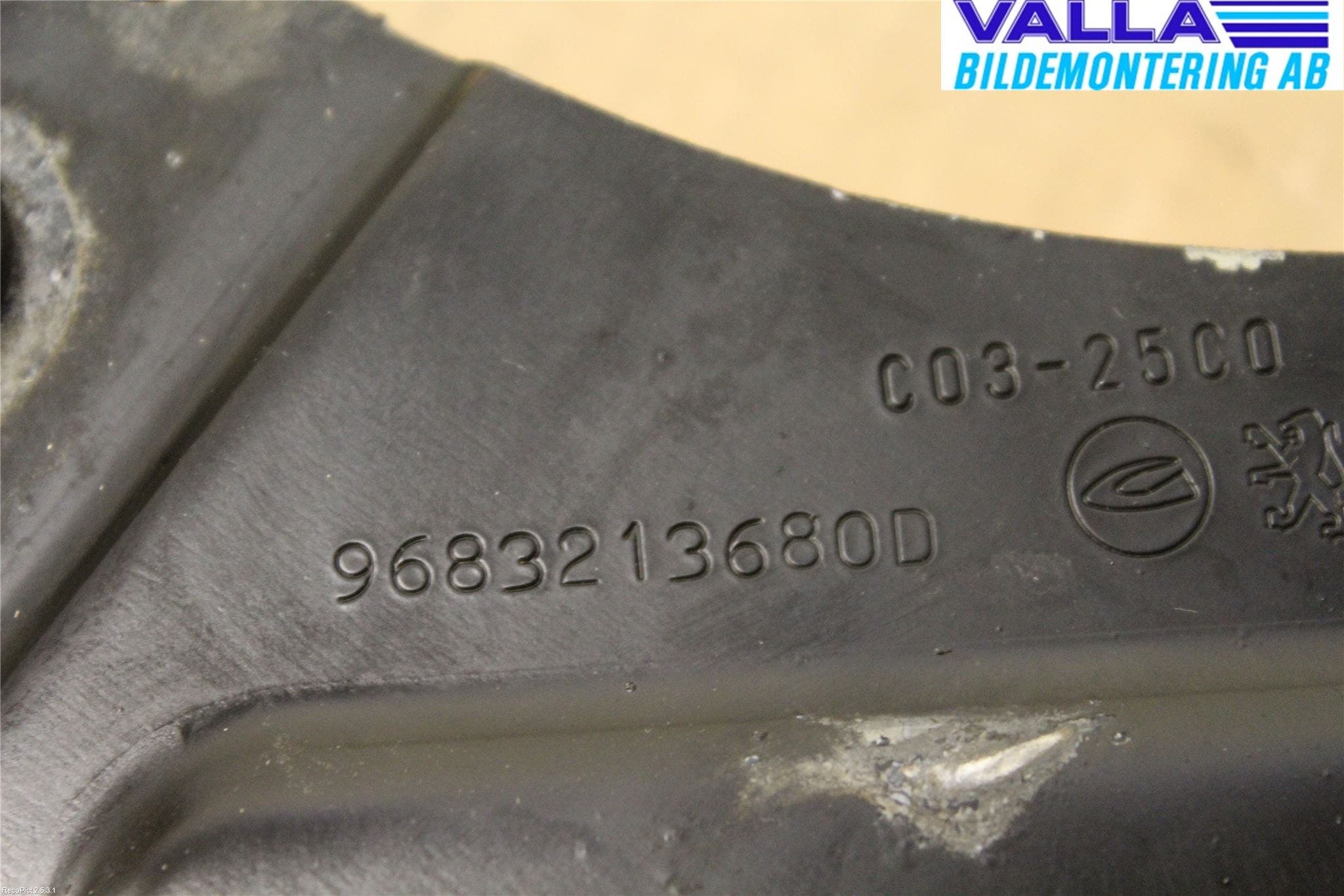 Peugeot 3008 09-16 Bakluckegångjärn Hö