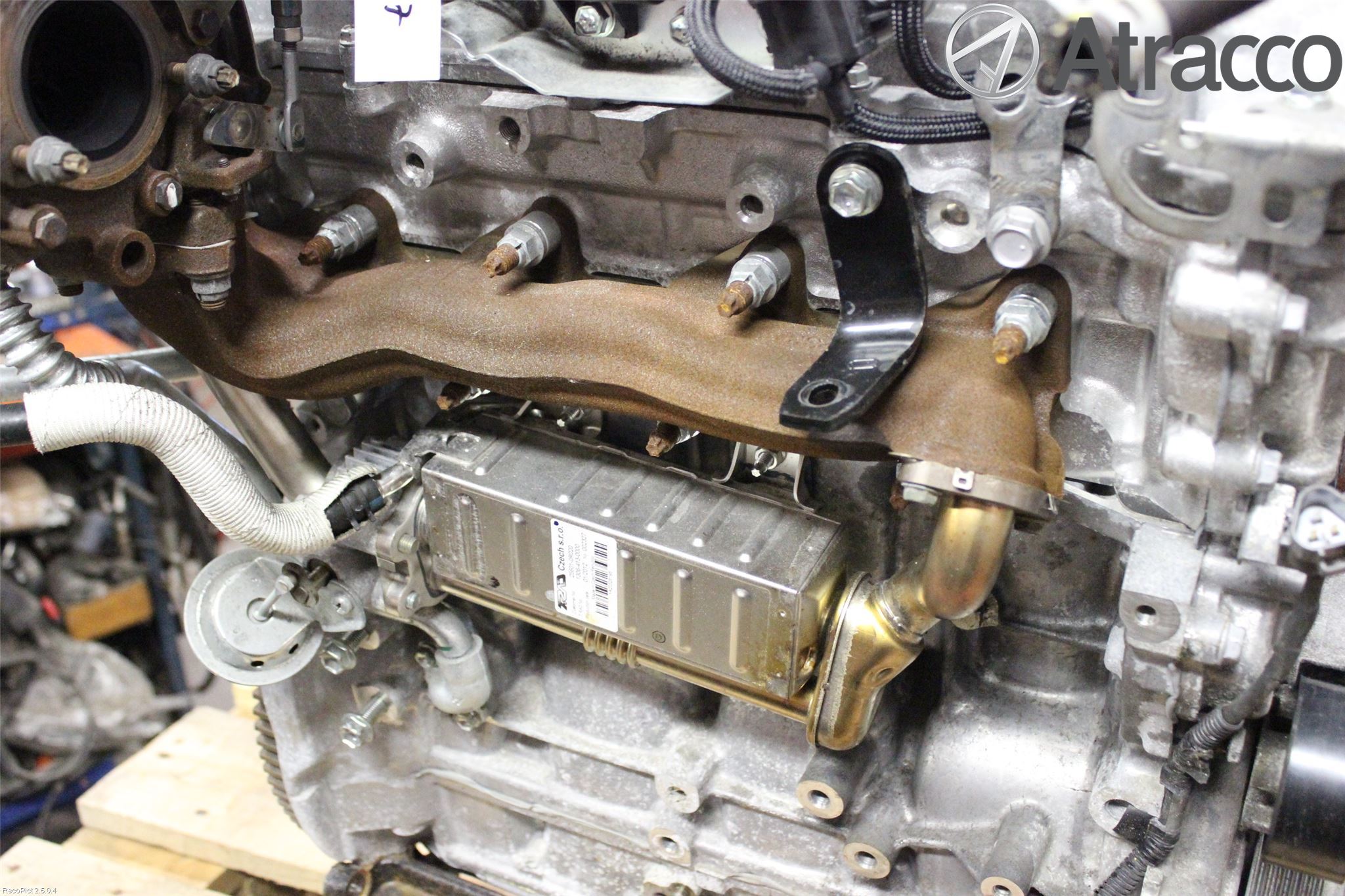 Toyota RAV 4 06-12 Avgaskylare