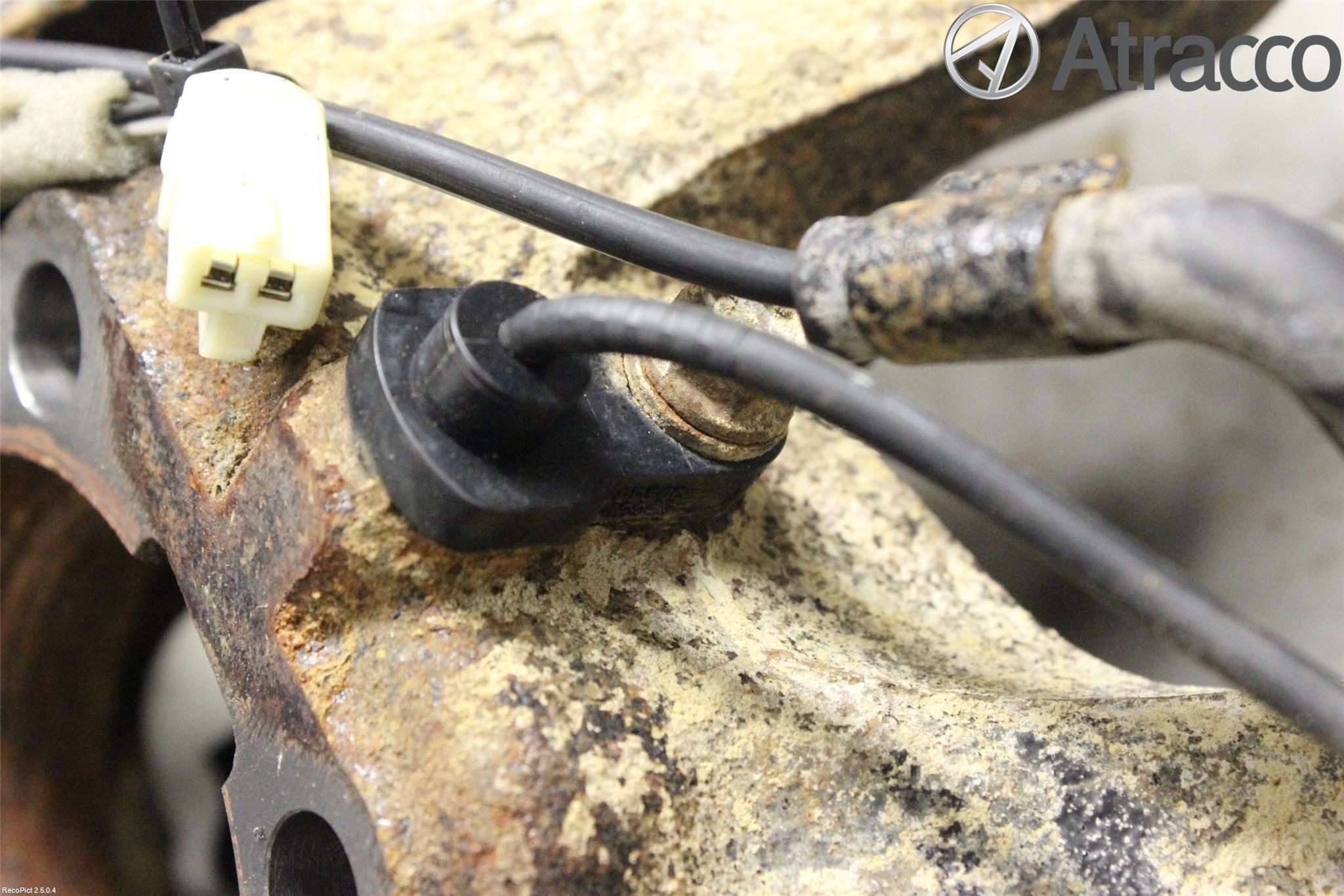 Toyota RAV 4 06-12 Hjullagerhus-Spindel Vä B